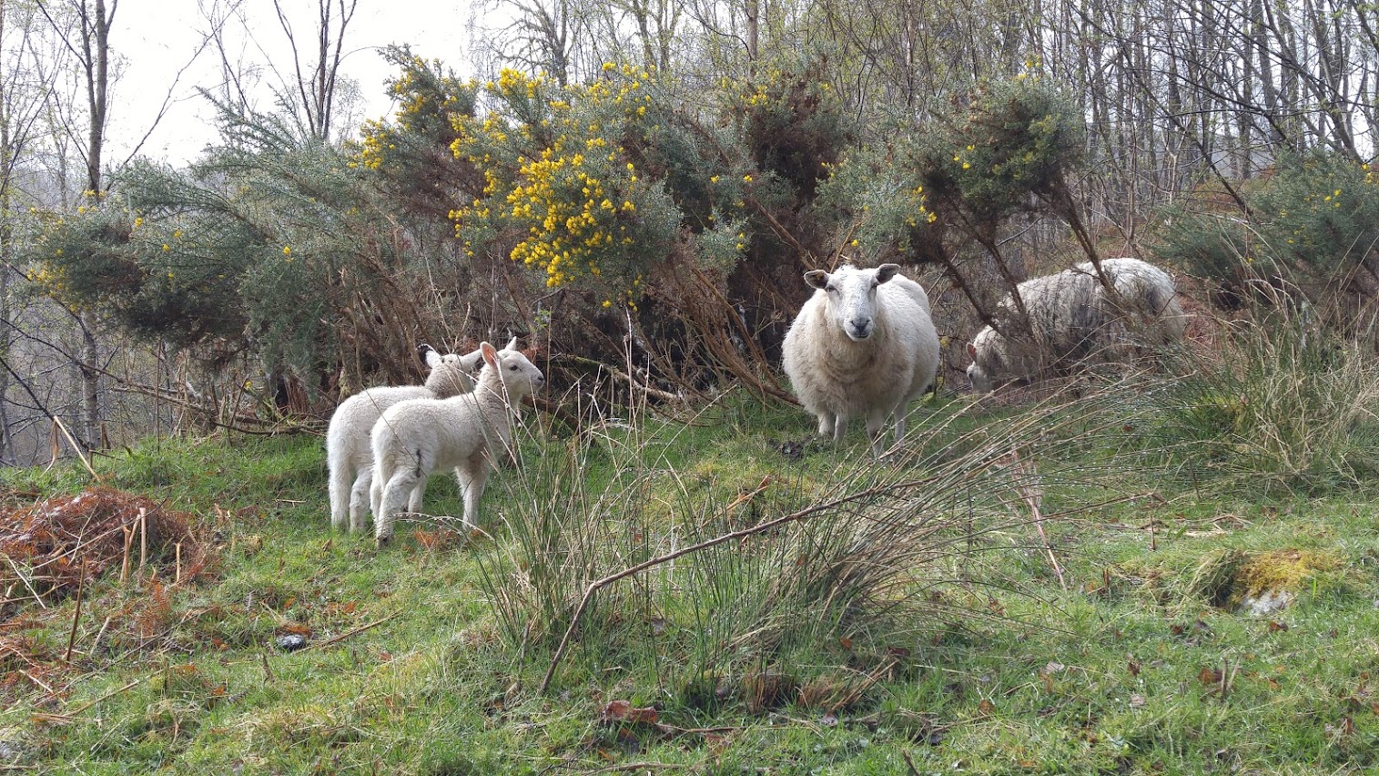 Annexe 20170425_112548.jpg