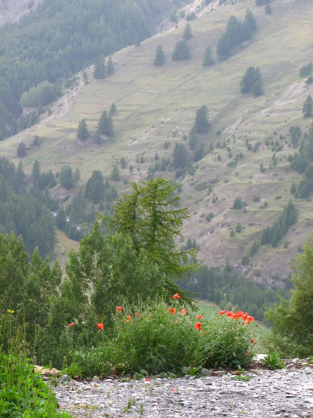 Annexe Biodiversité.jpg