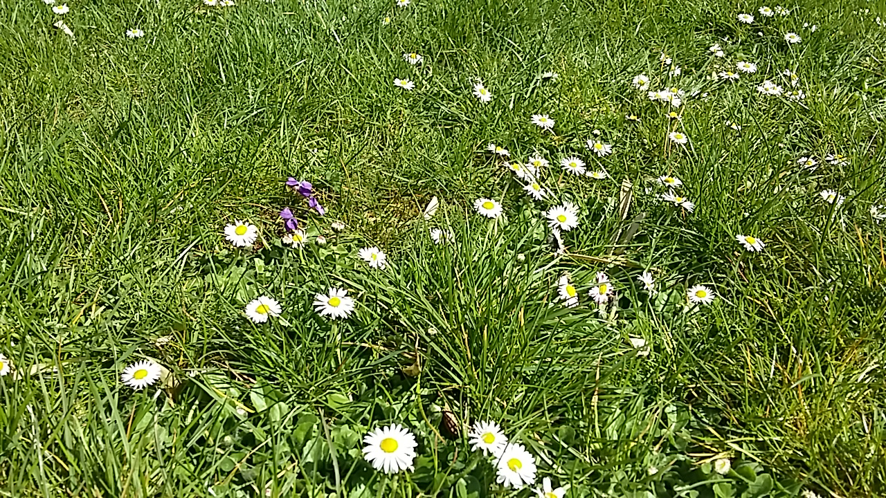 Annexe 20180407_152218.jpg