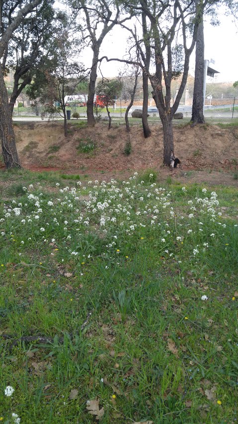 Annexe 20180408_110548.jpg