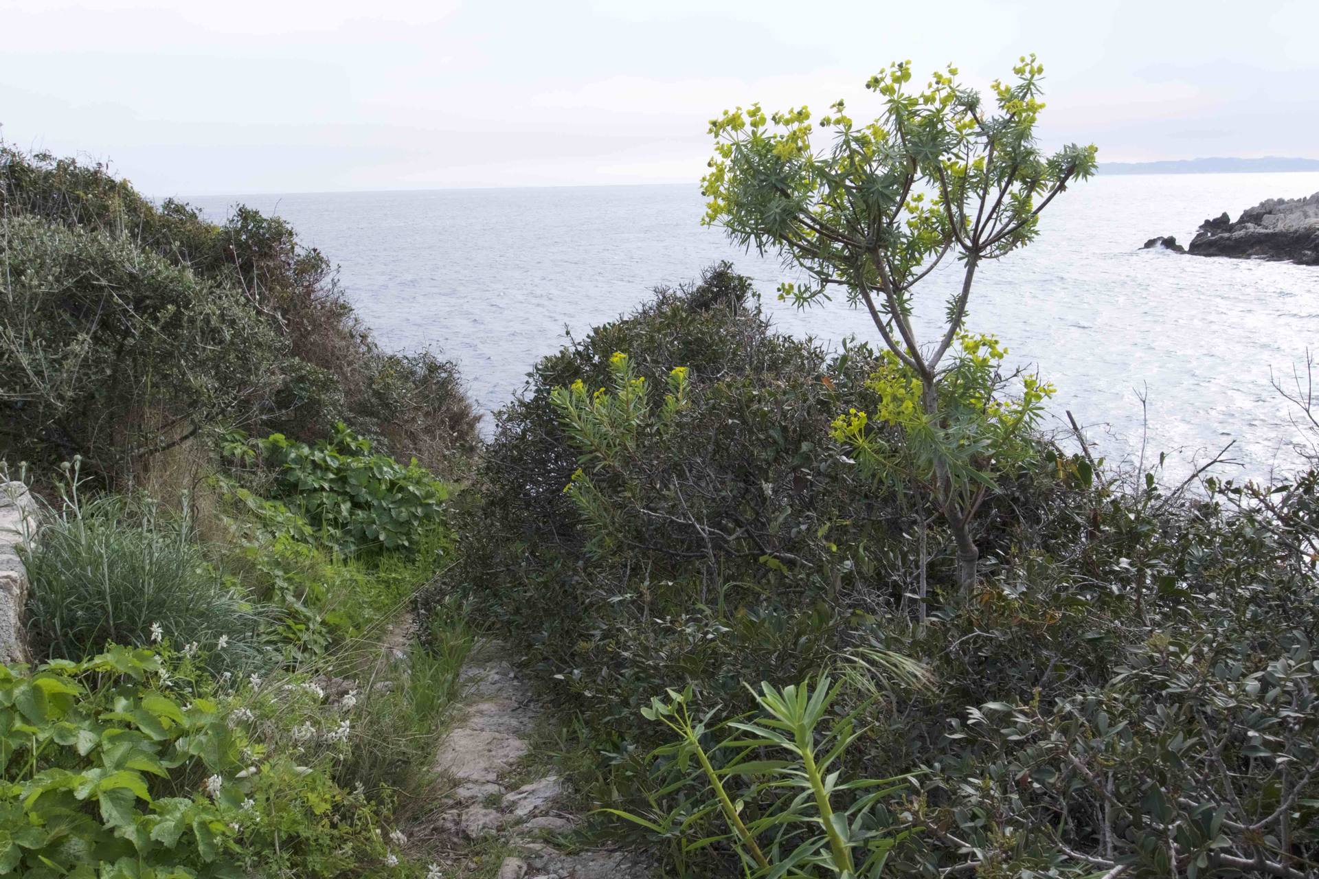 Annexe Activité biodiversité.jpg