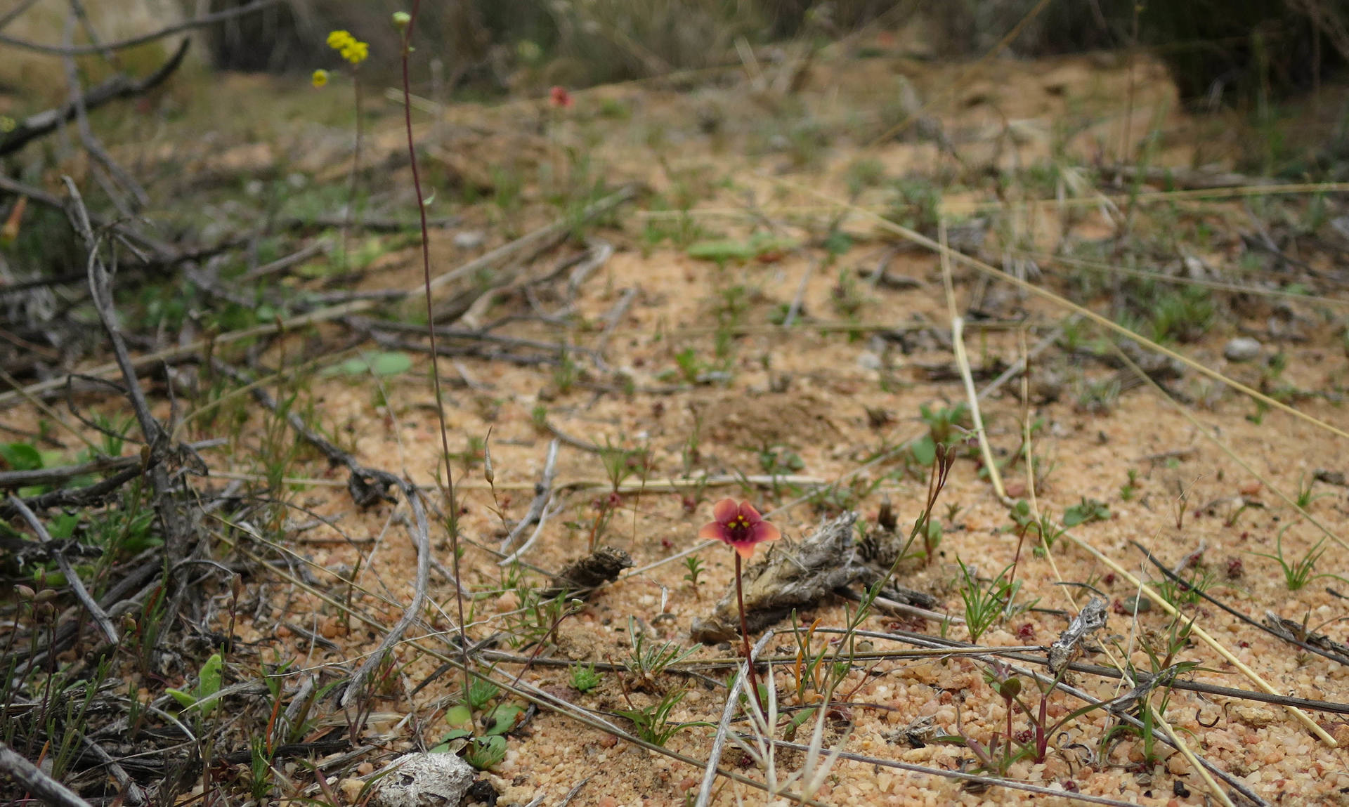 Annexe IMG_39682.jpg