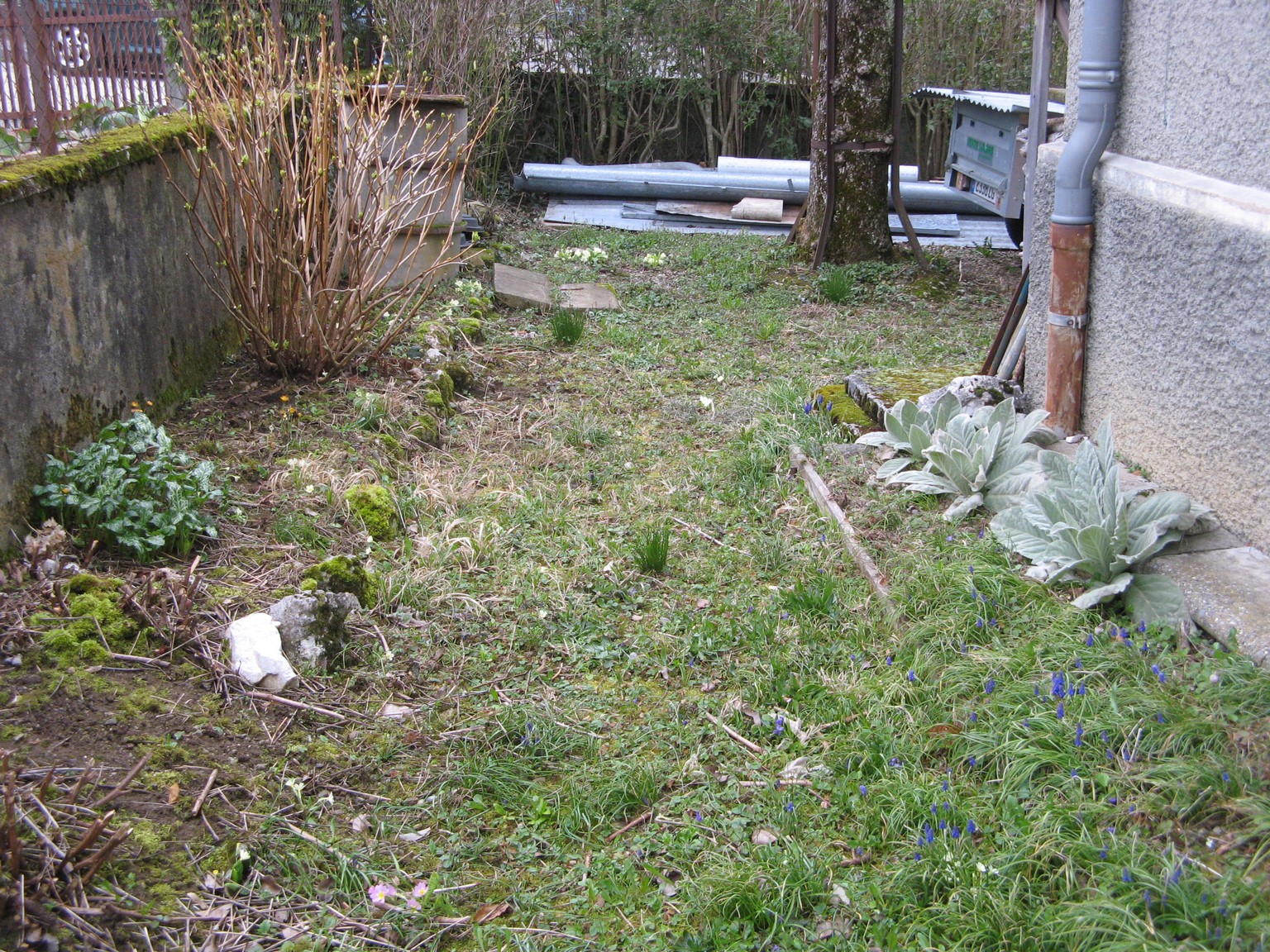 Annexe Biodiversité rdt.jpg