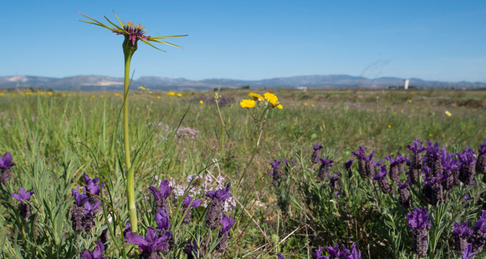 Annexe Perpignan-maquette_19.jpg