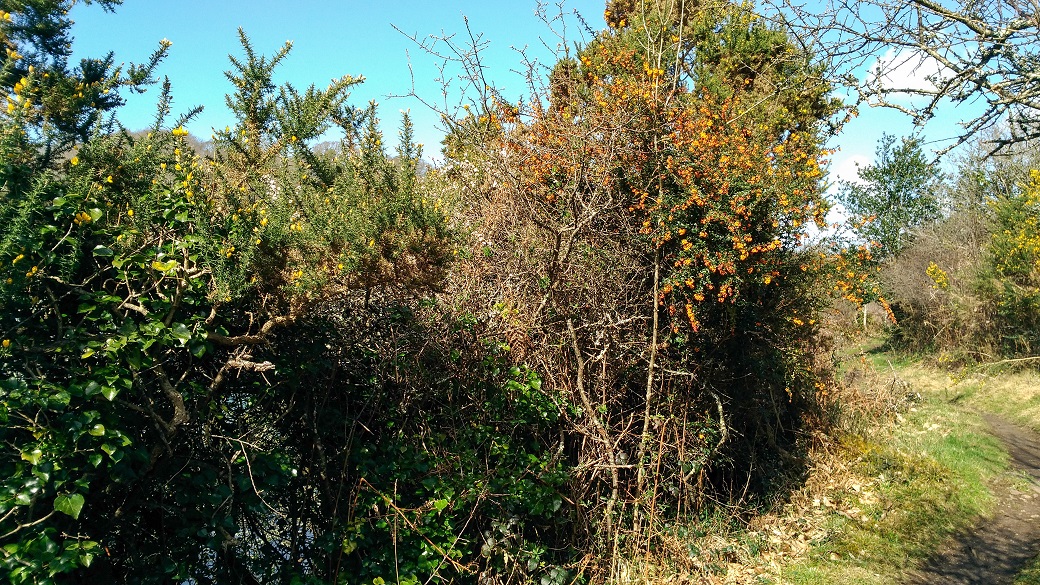 Annexe P_20180331_155818_vHDR_Auto-2.JPG