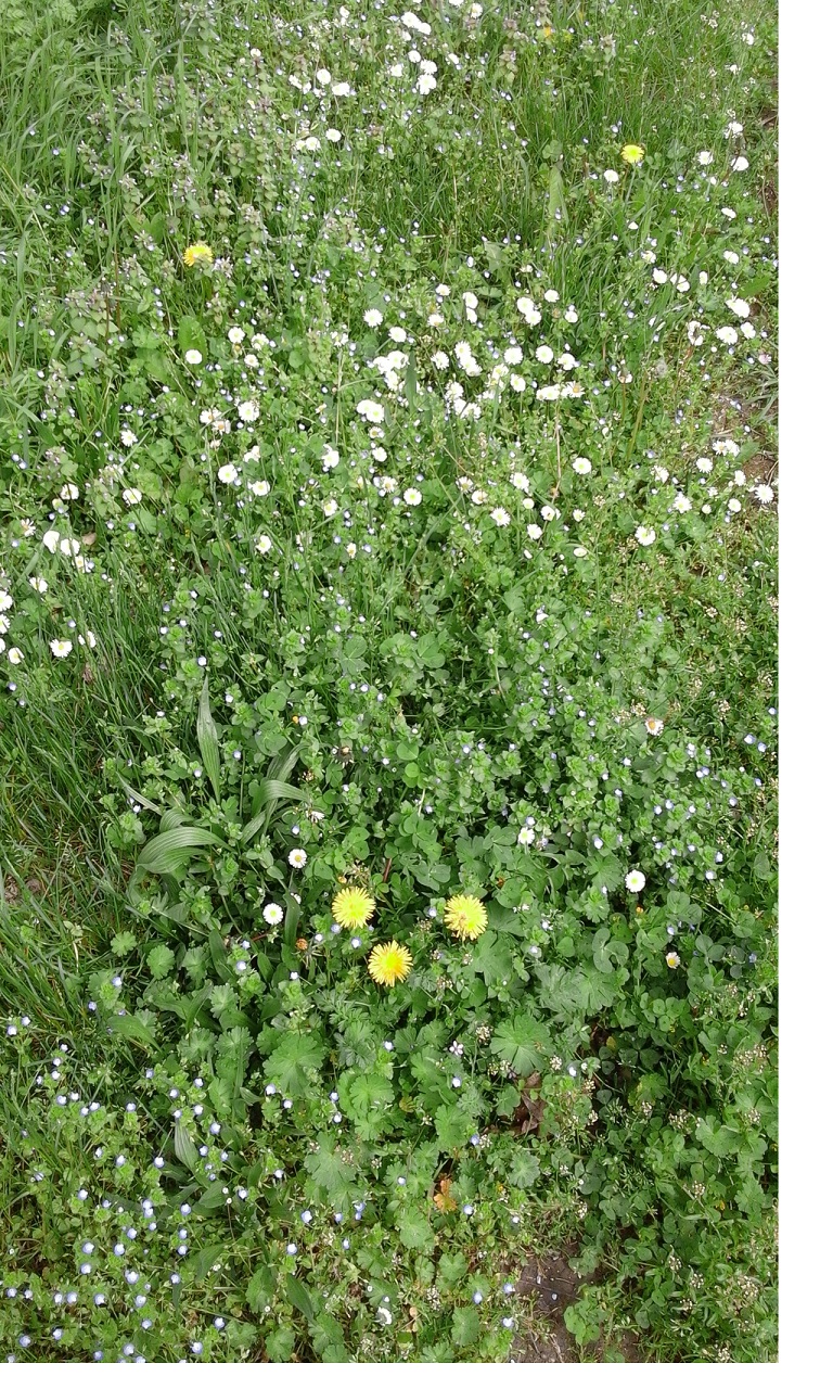 Annexe photo redimensionnee.jpg