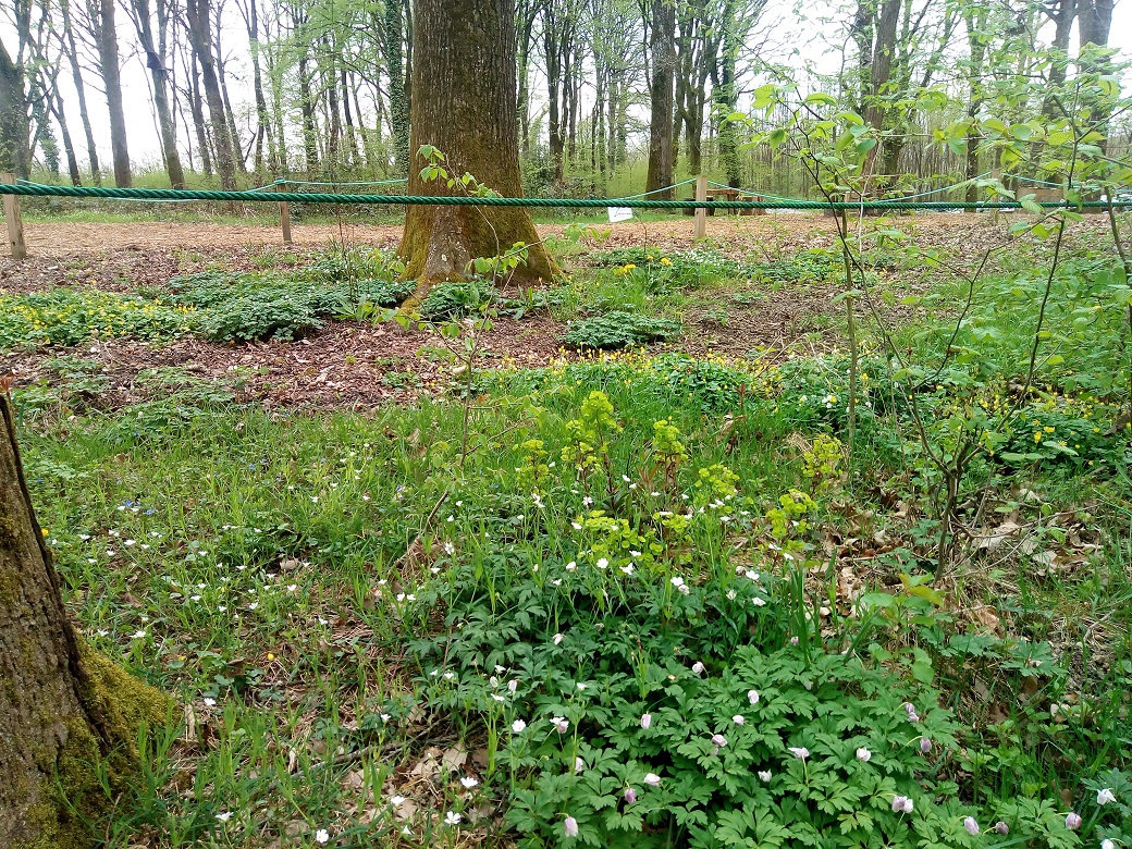 Annexe IMG_20180412_171259.jpg