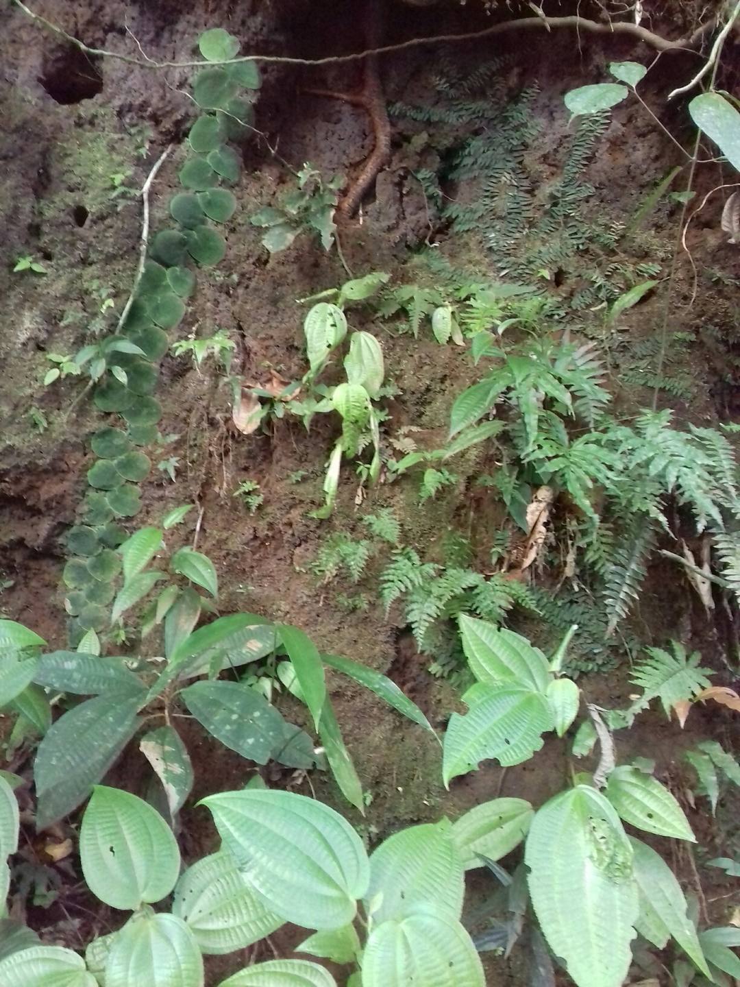 Annexe 20180224_100801_resized.jpg