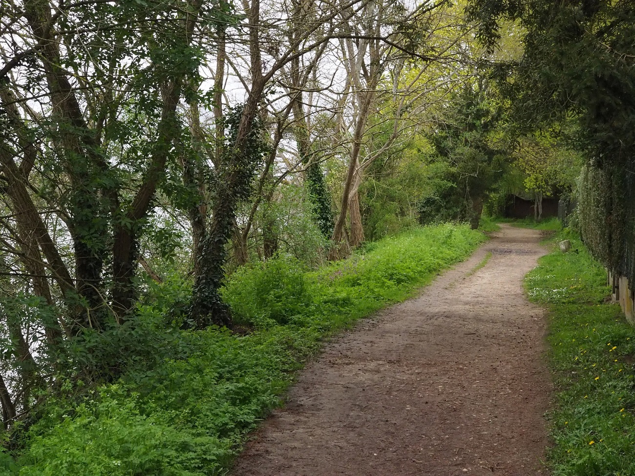 Annexe Image biodiversité.jpg