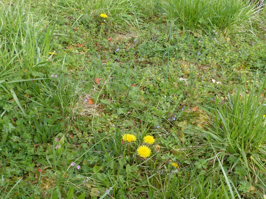 Annexe P1010624 (Copier).JPG