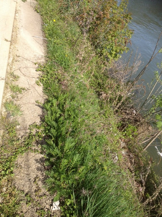 Annexe Biodiversité 3.jpg