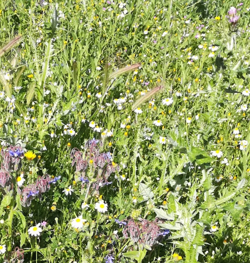 Annexe Sierra Blanca, Costa Del Sol - ANdalousie, Espagne.jpeg