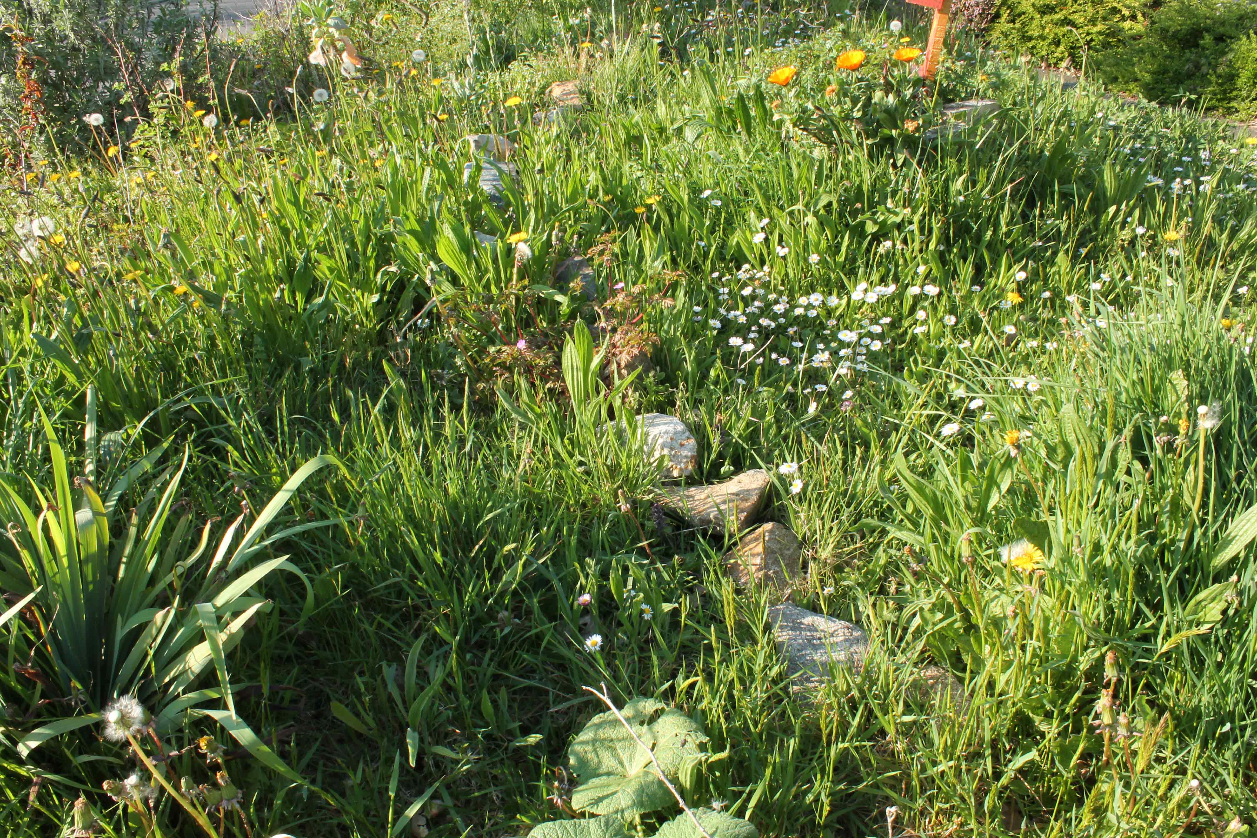 Annexe IMG_0352web.jpg