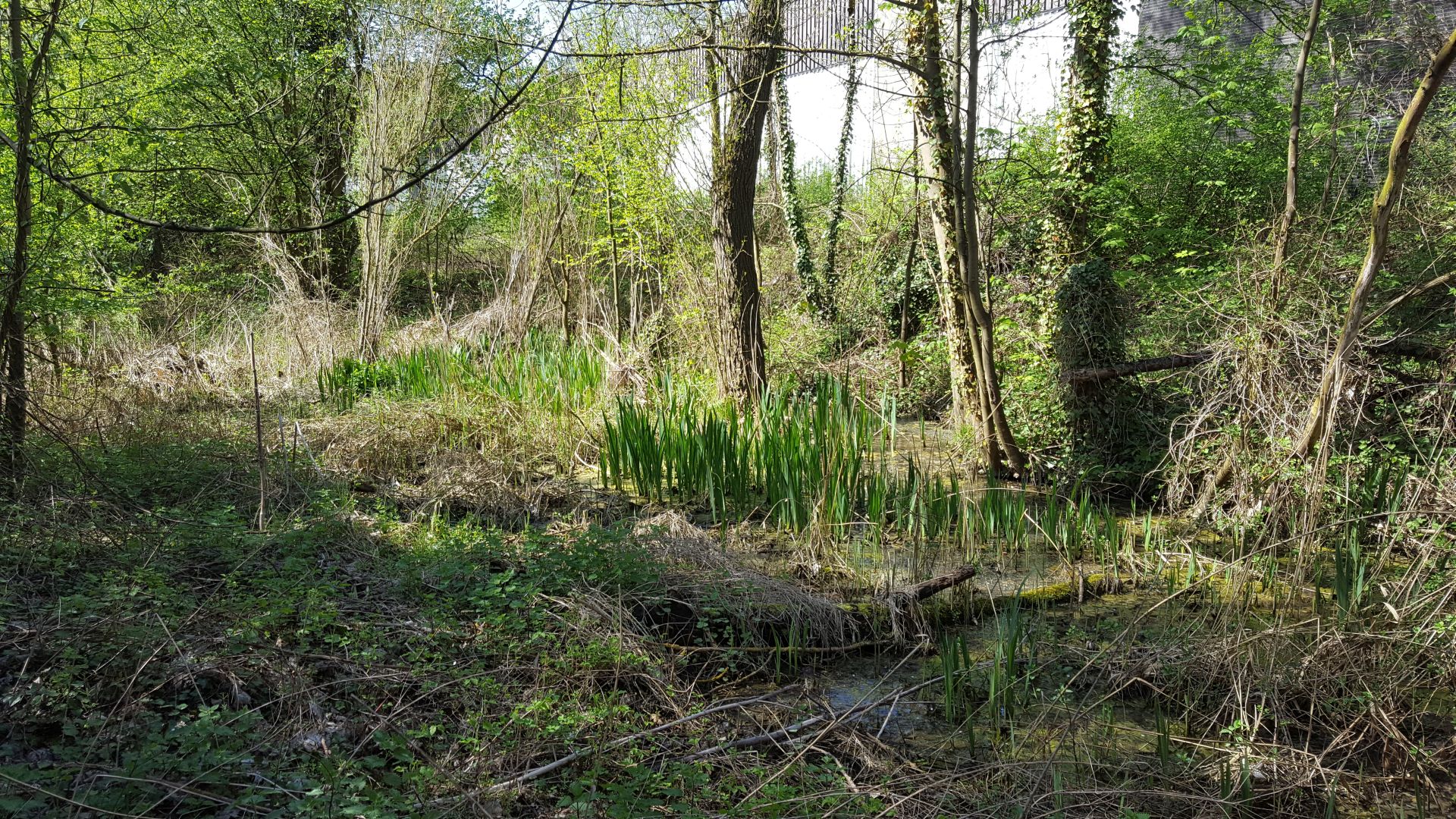 Annexe 20180418_151137 réduite.jpg