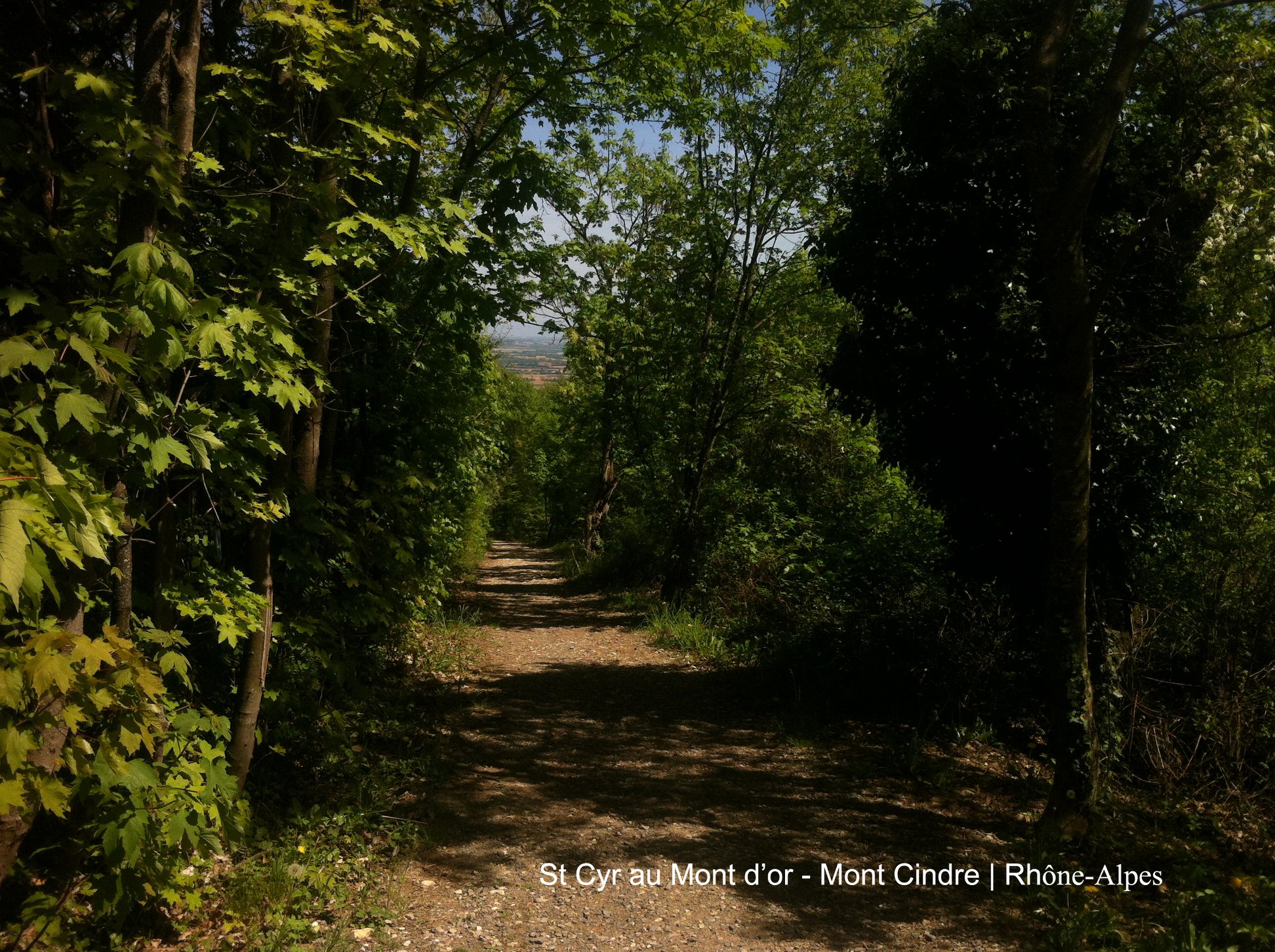 Annexe IMG_4551CHEMINMONTCINDRE.jpg