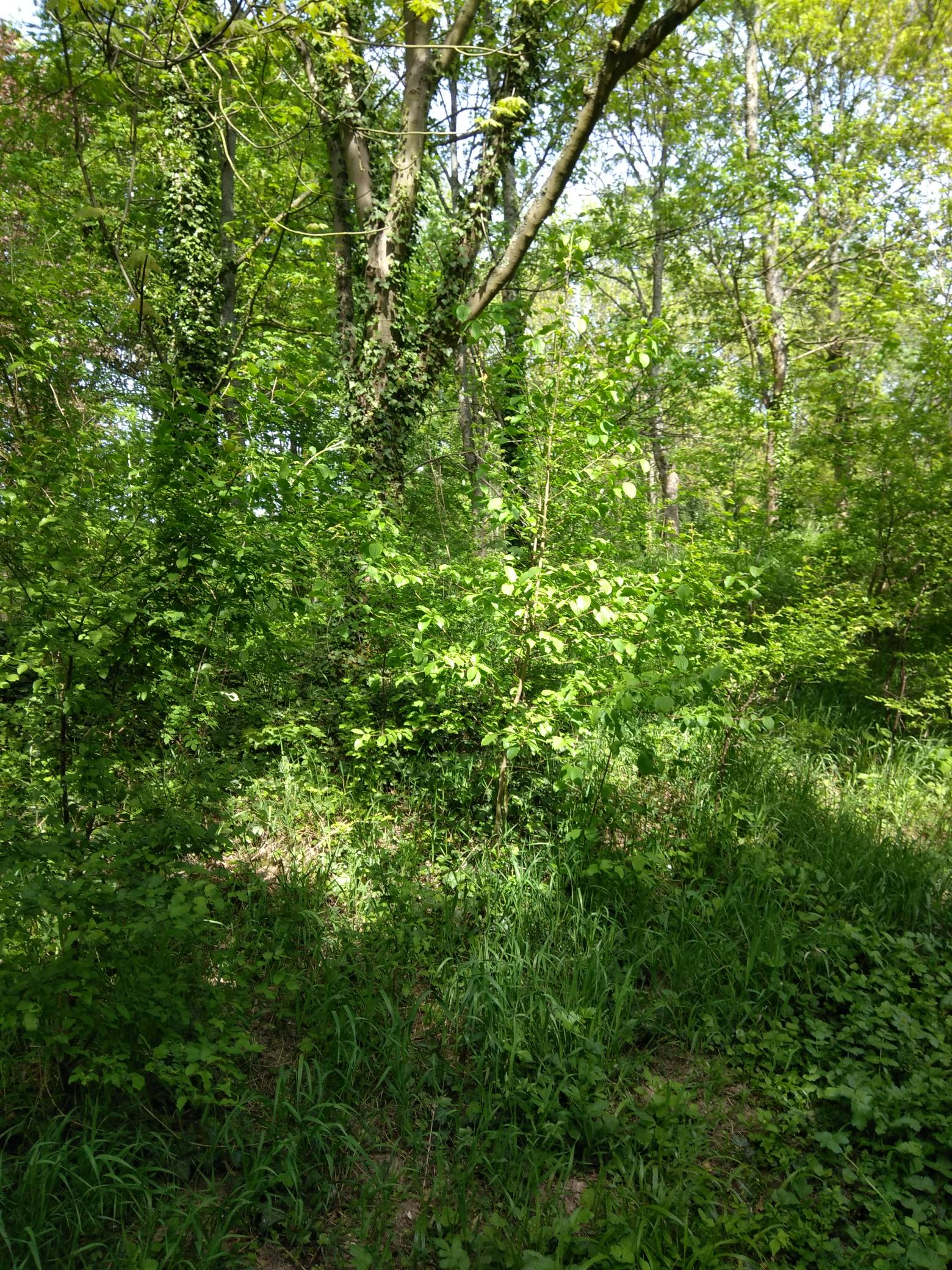 Annexe IMG_20180424_160857.jpg