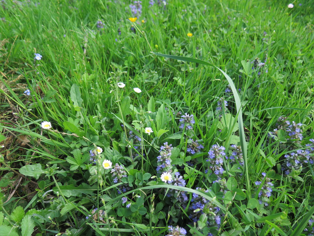 Annexe biodiversité.JPG