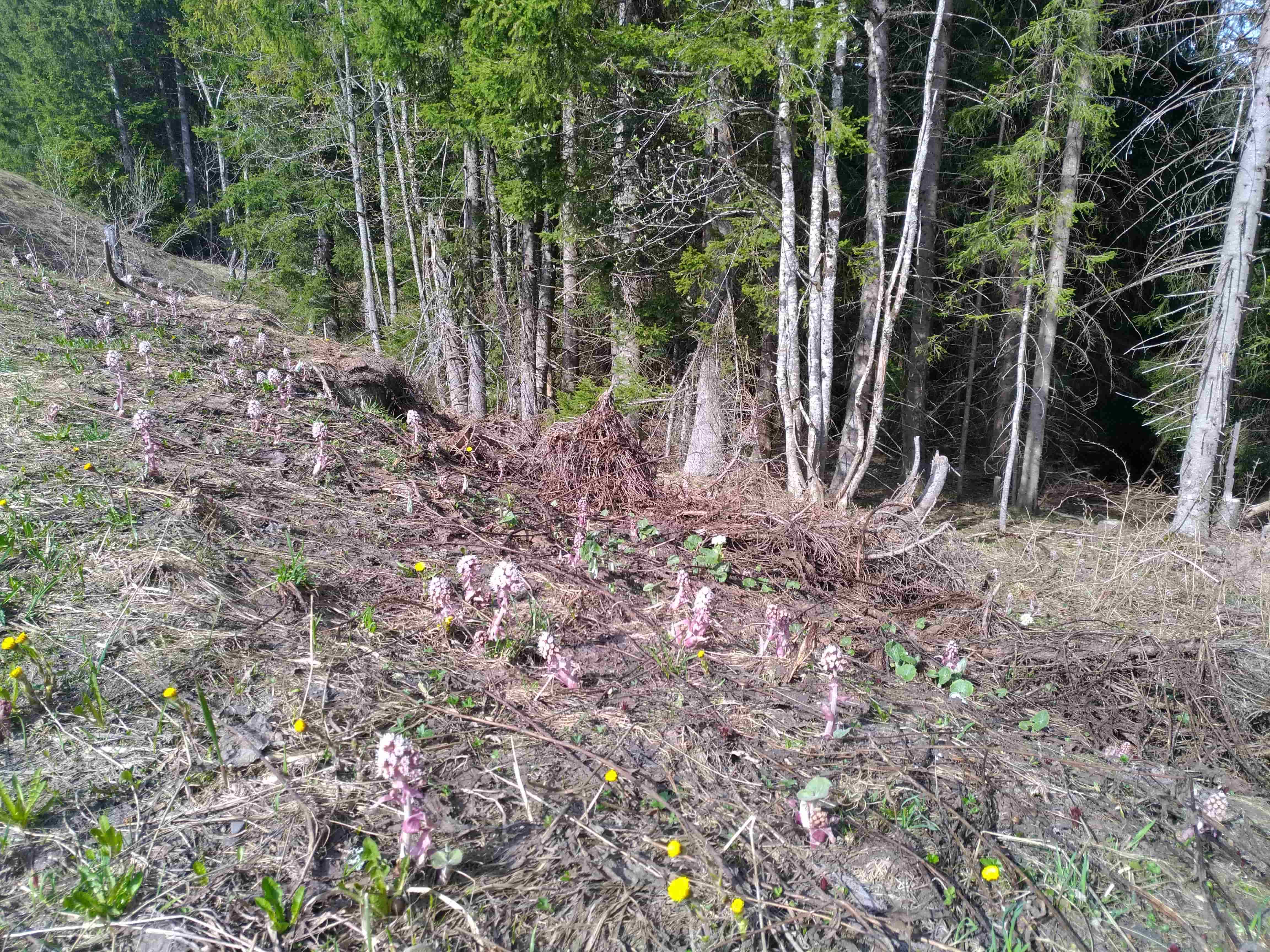 Annexe IMG_20180428_165836[1]-min.jpg