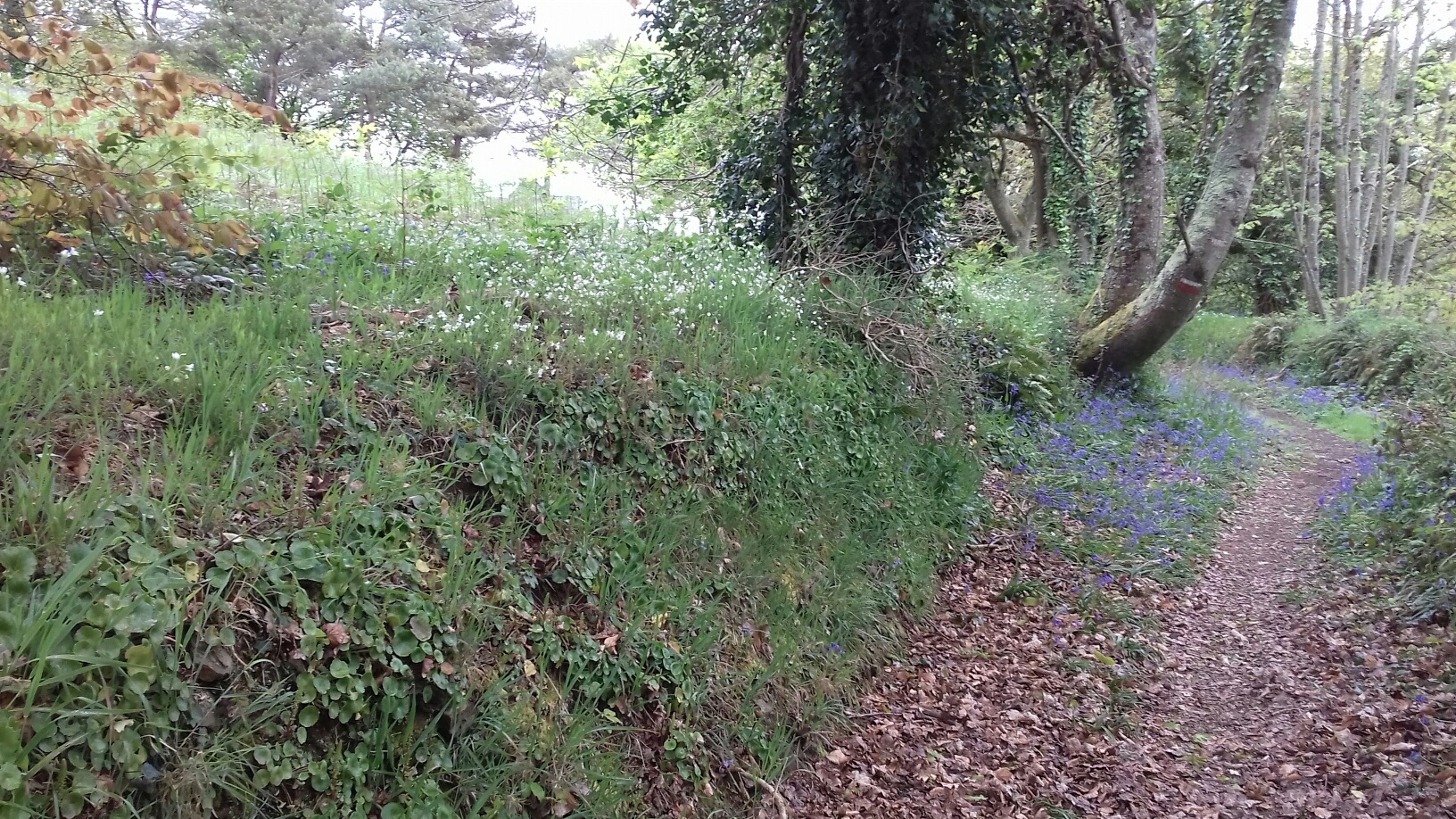 Annexe 20180502_101140_resized_1.jpg