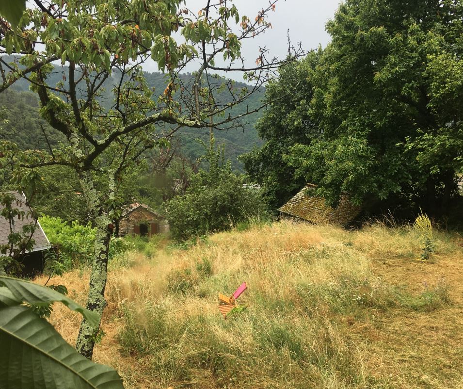 Annexe Vue générale Cévennes.JPG