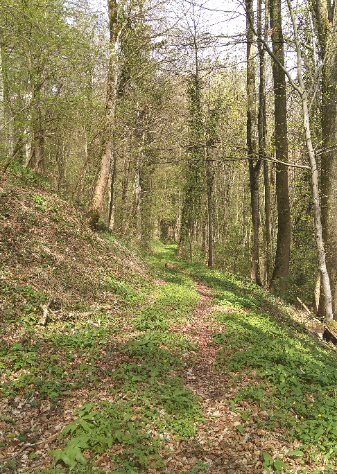 Annexe Capture du 2018-05-07 13-26-17.png