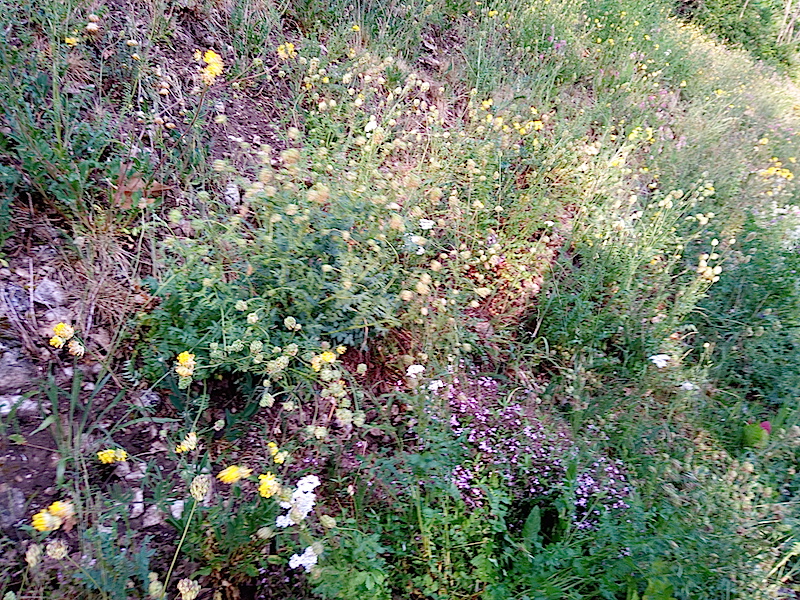 Annexe P_20180507_194643.jpg