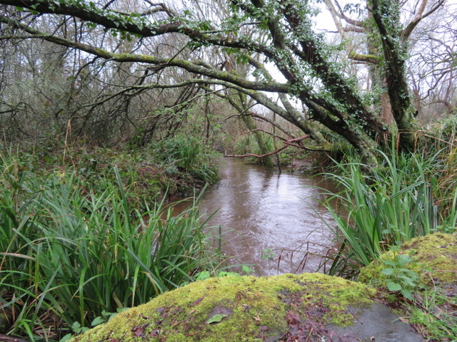 Annexe IMG_5457.jpeg