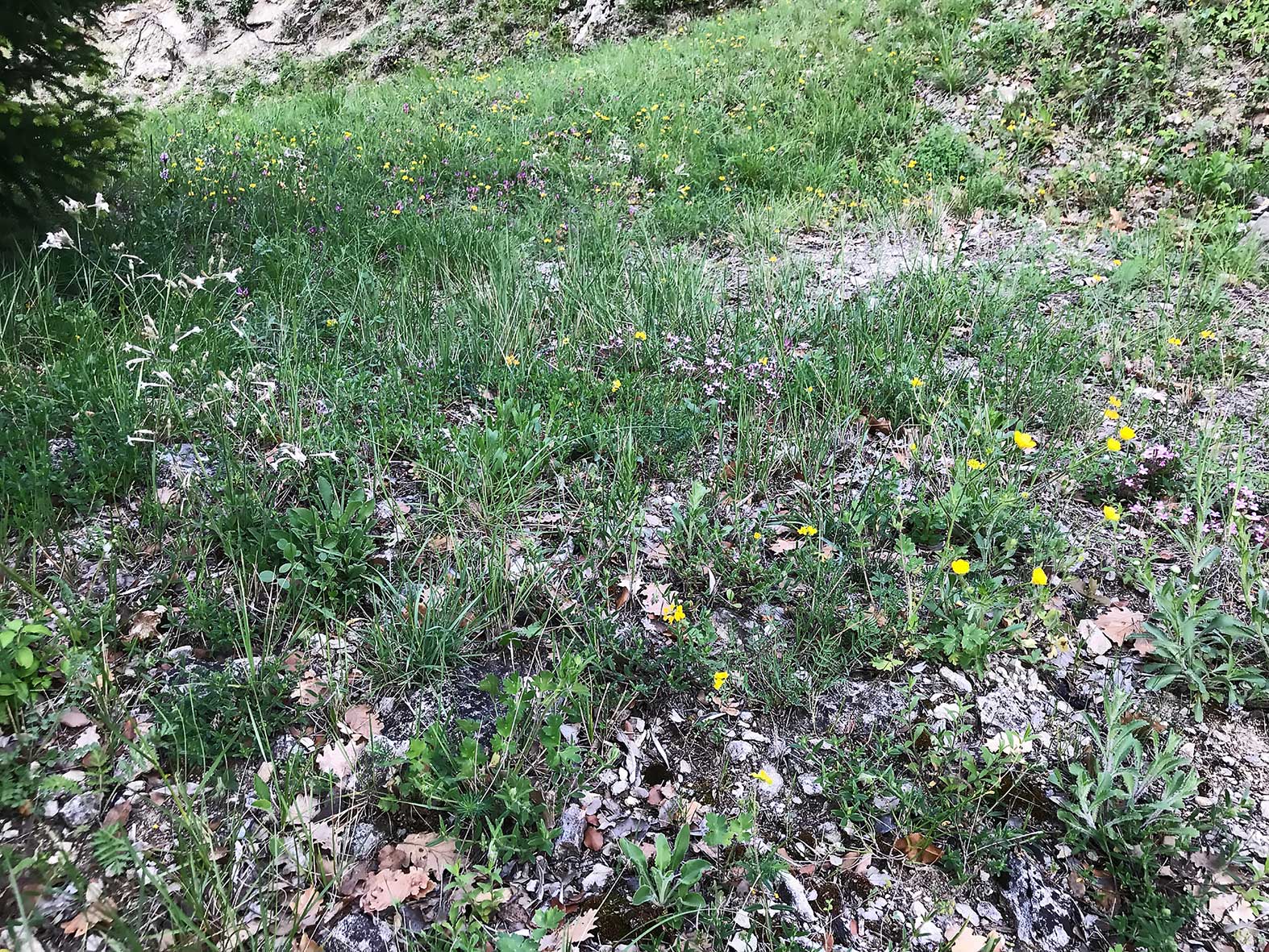 Annexe Biodiversite2.jpg