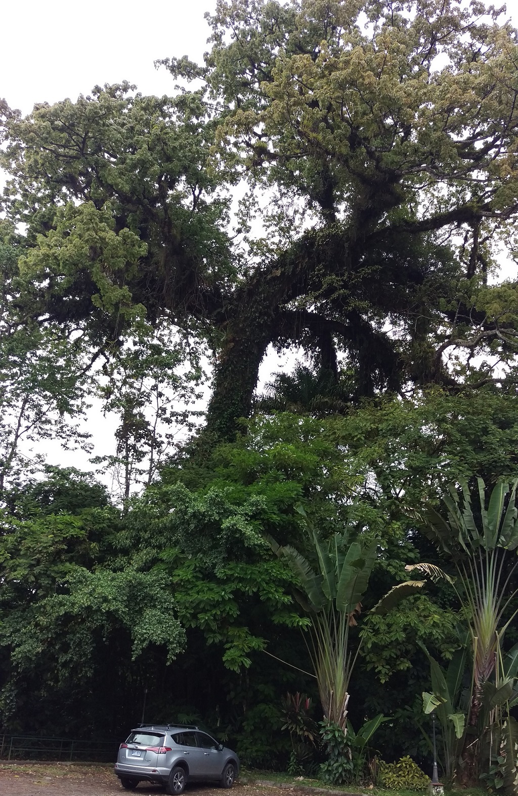 Annexe IMAG0576 (2).jpg