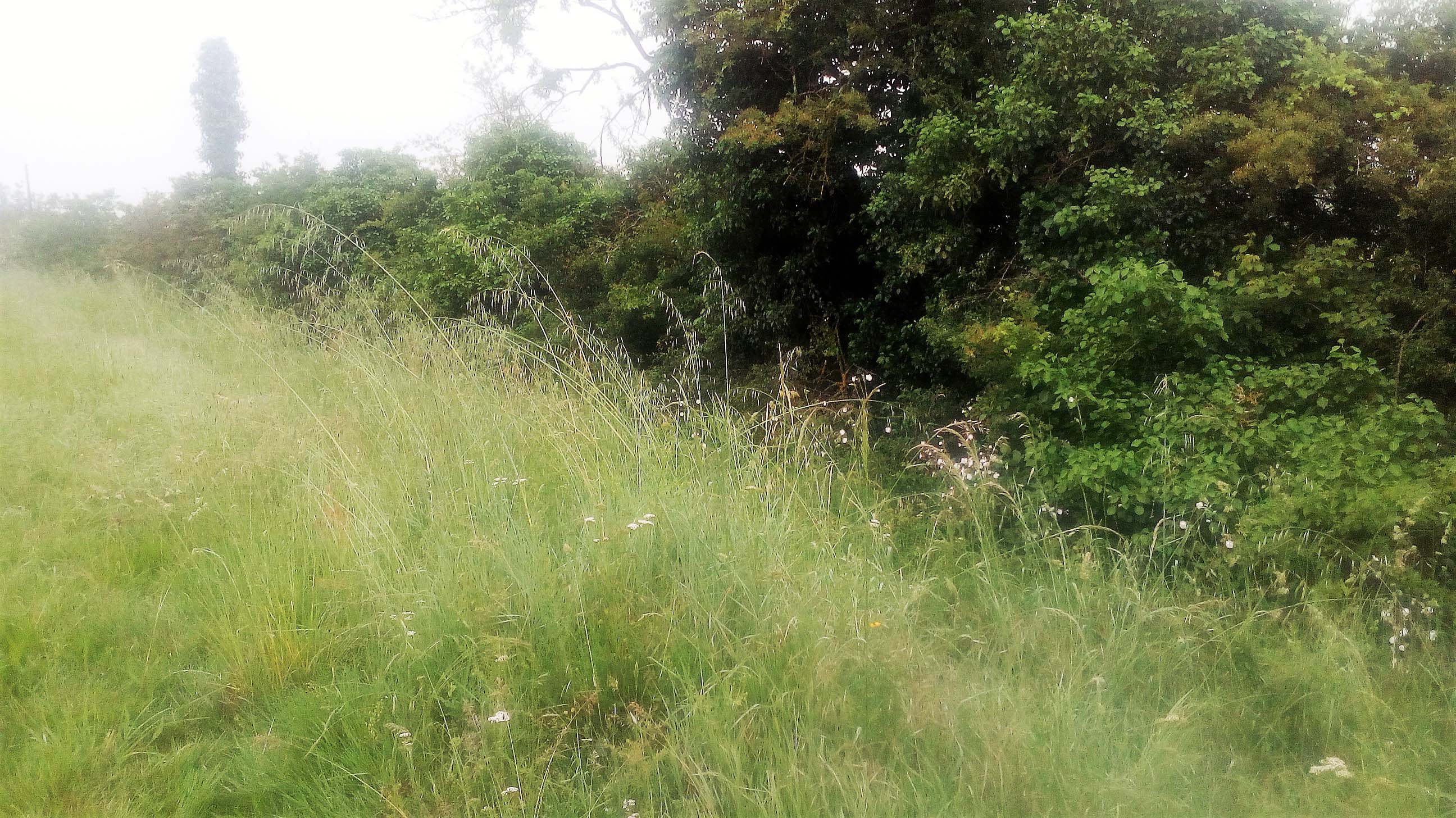 Annexe IMG_20180509_102925.jpg