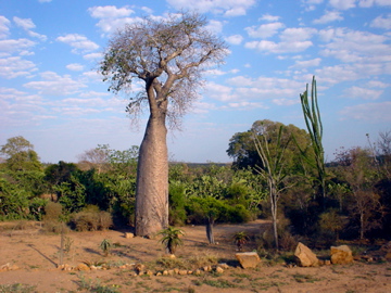 Annexe 200310241922130.jpg