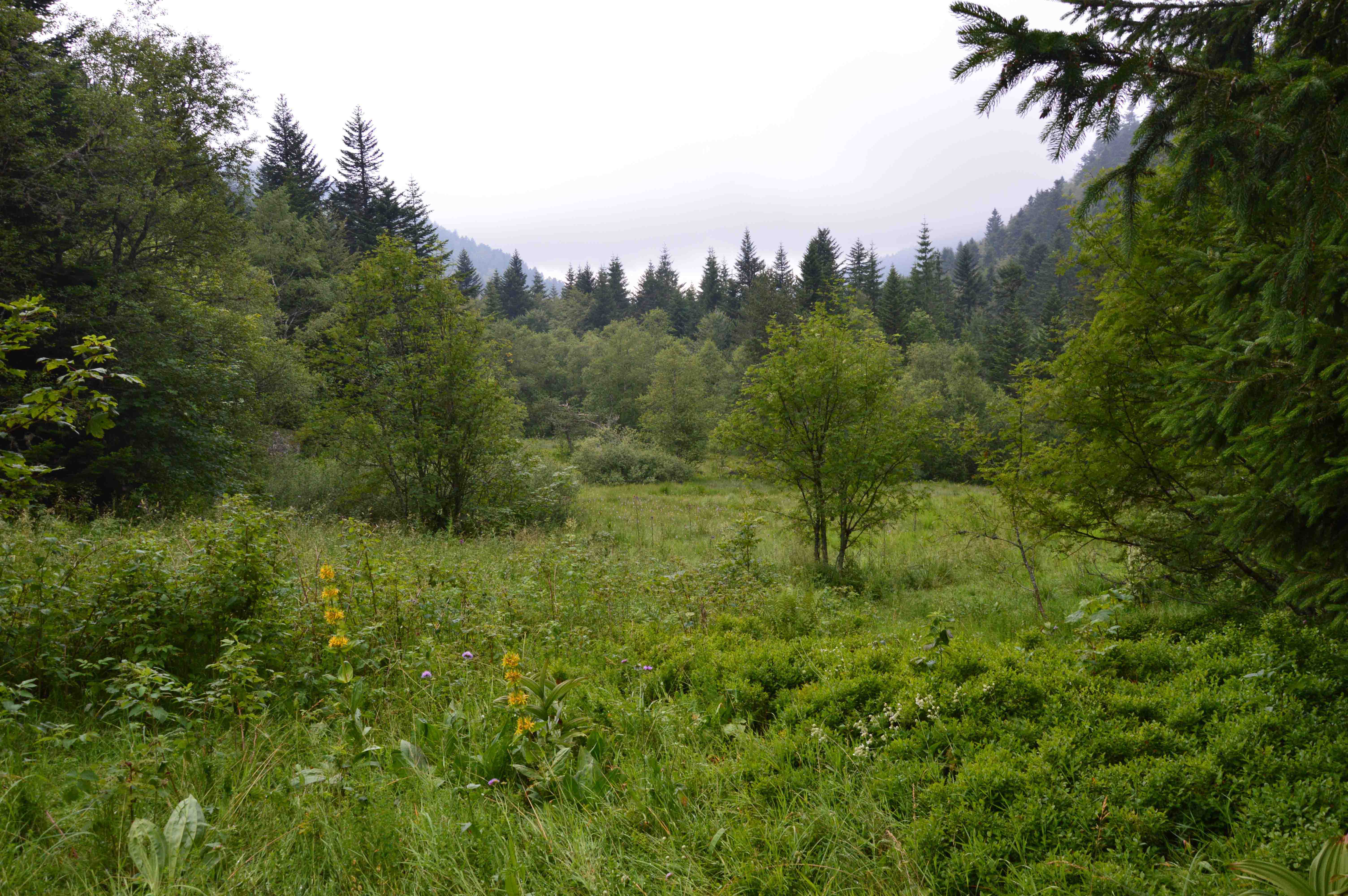 Annexe DSC_0028 copie.jpg