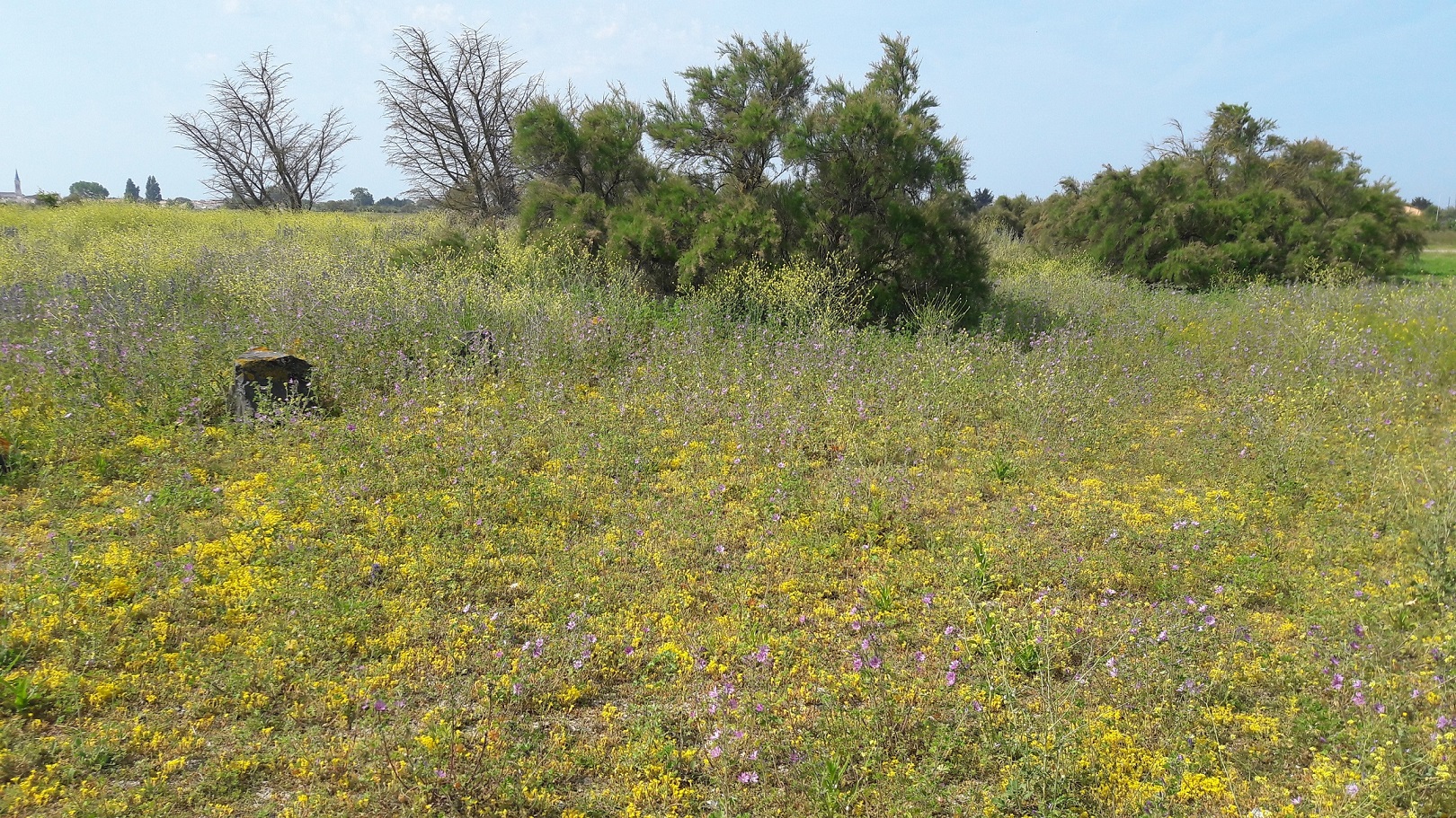 Annexe 20170527_111657.jpg