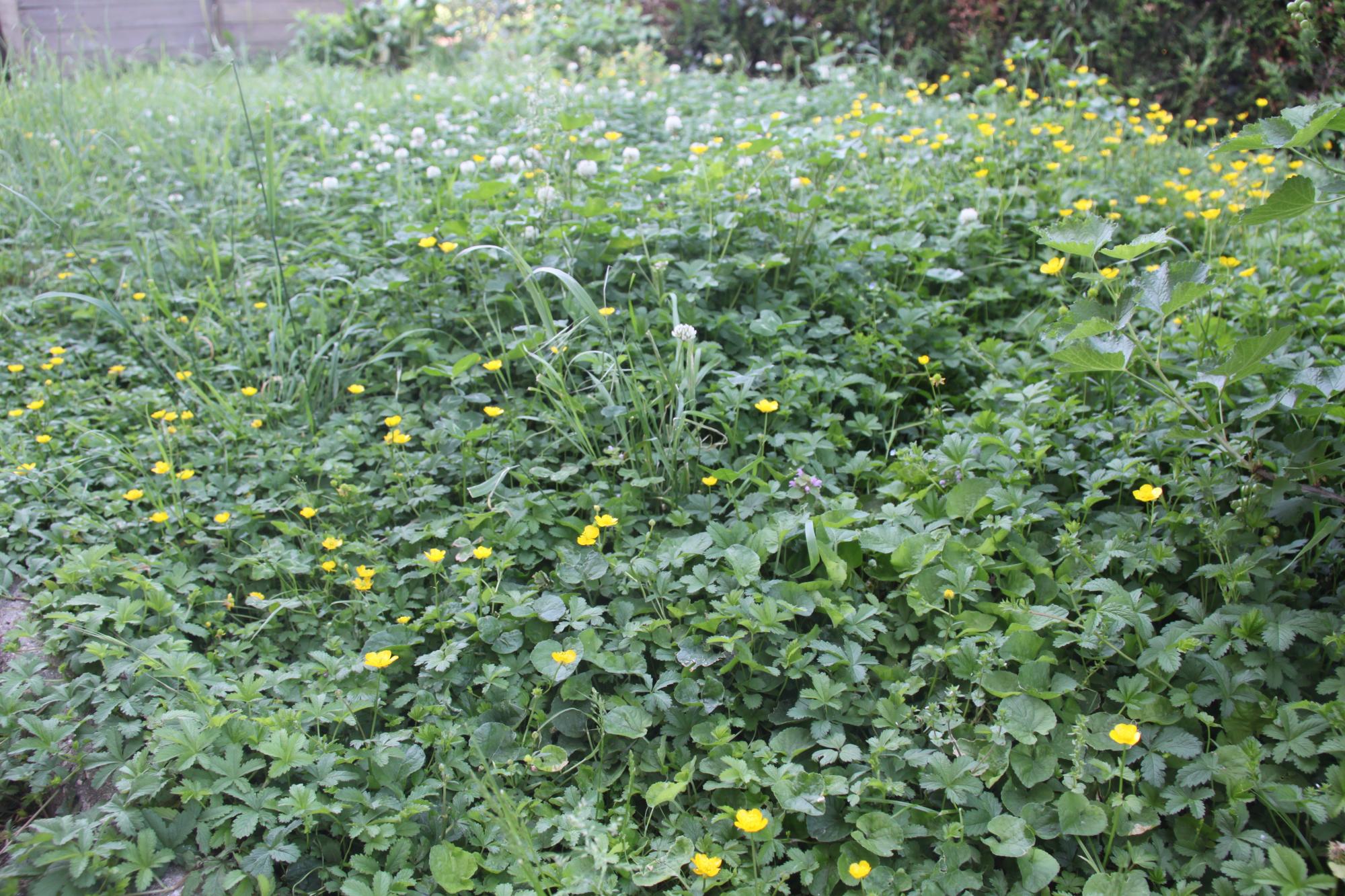 Annexe biodiversite.jpg