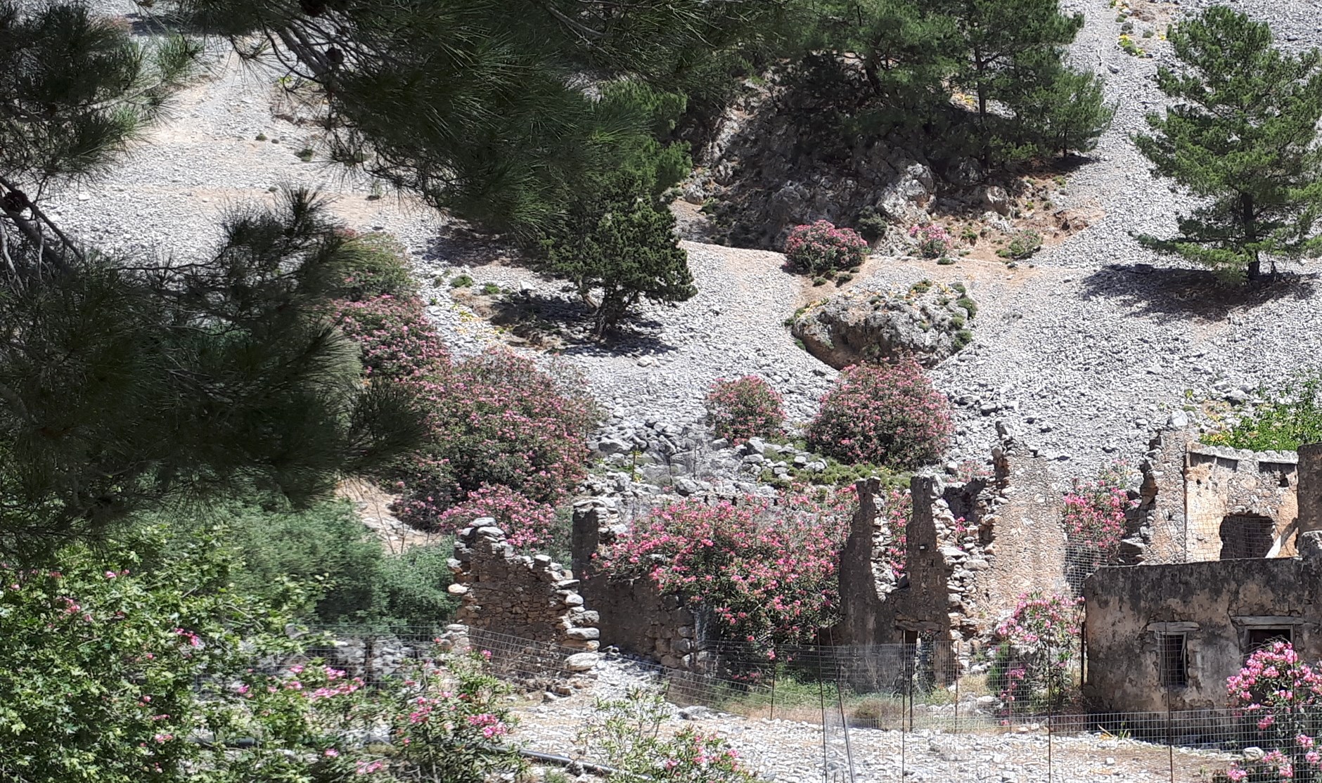 Annexe biodiversité samaria.jpg