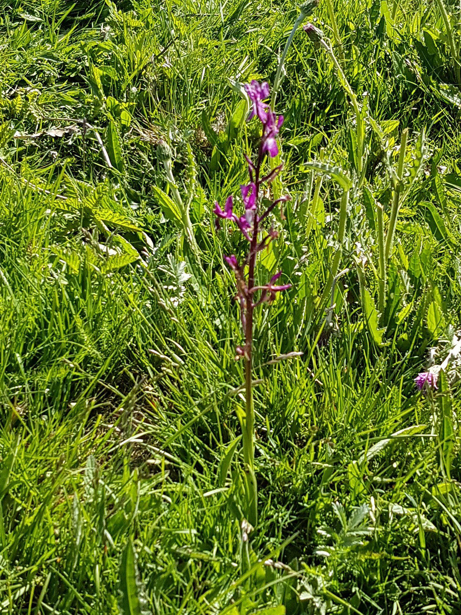 Annexe 33076216_1933419250010265_6943745224548024320_n.jpg