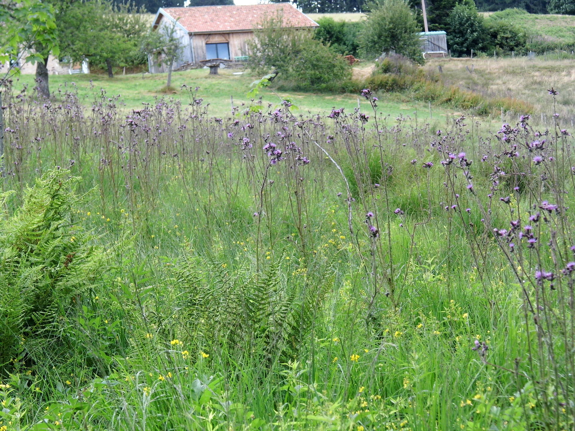 Zone Humide Haute Saone