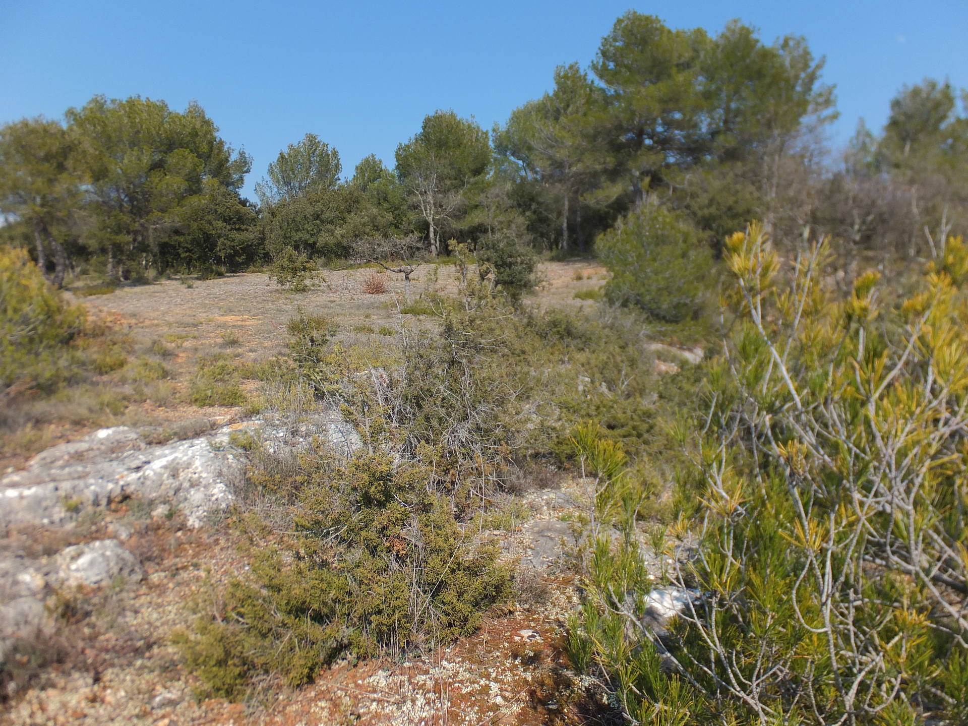 Au dessus du Calavon