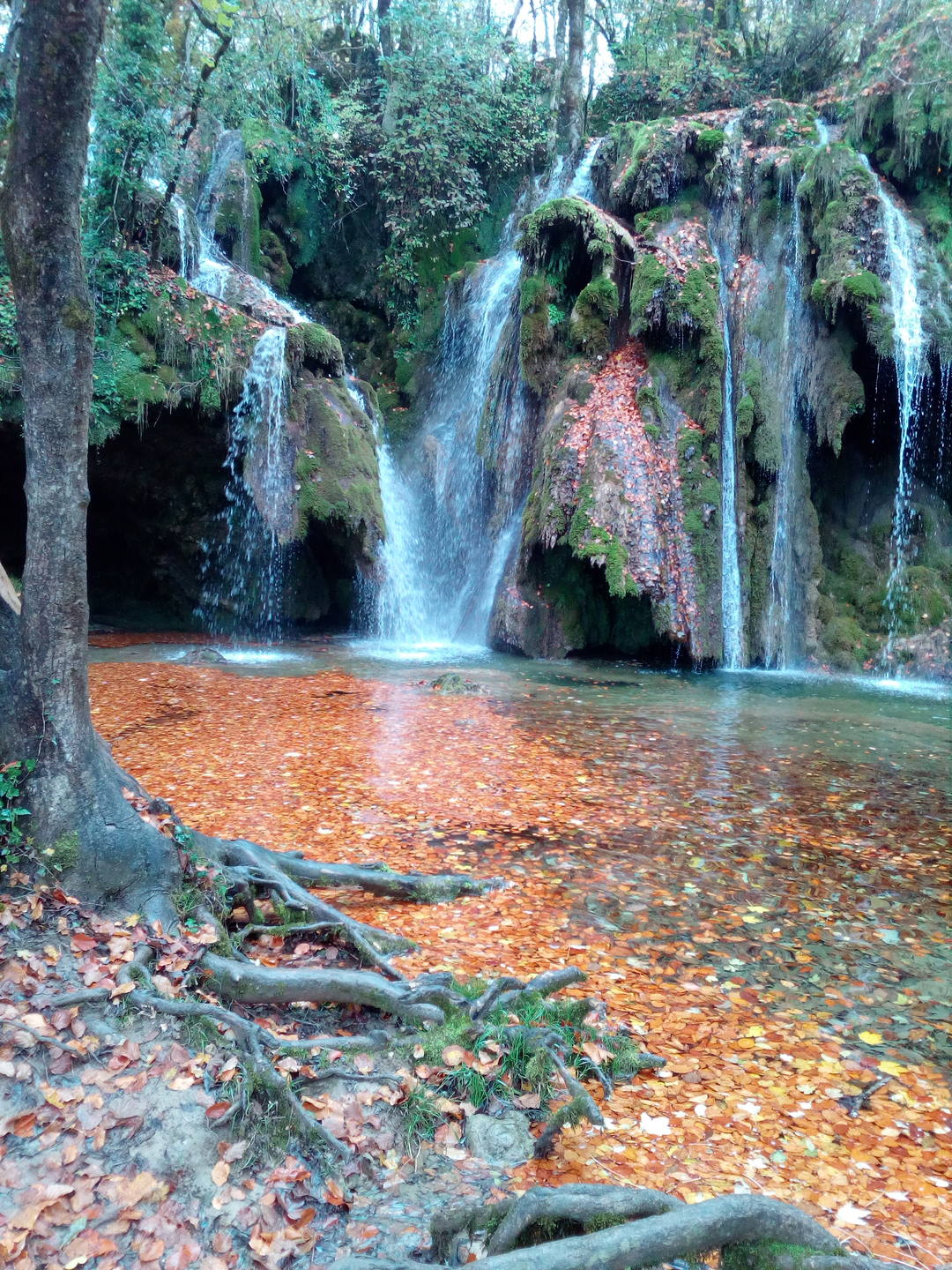la cascade des Tufs (39)