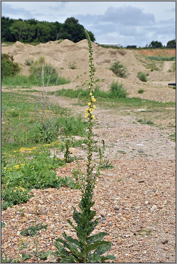 Autour du bassin de décantation