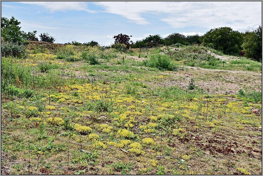 Autour du bassin de décantation