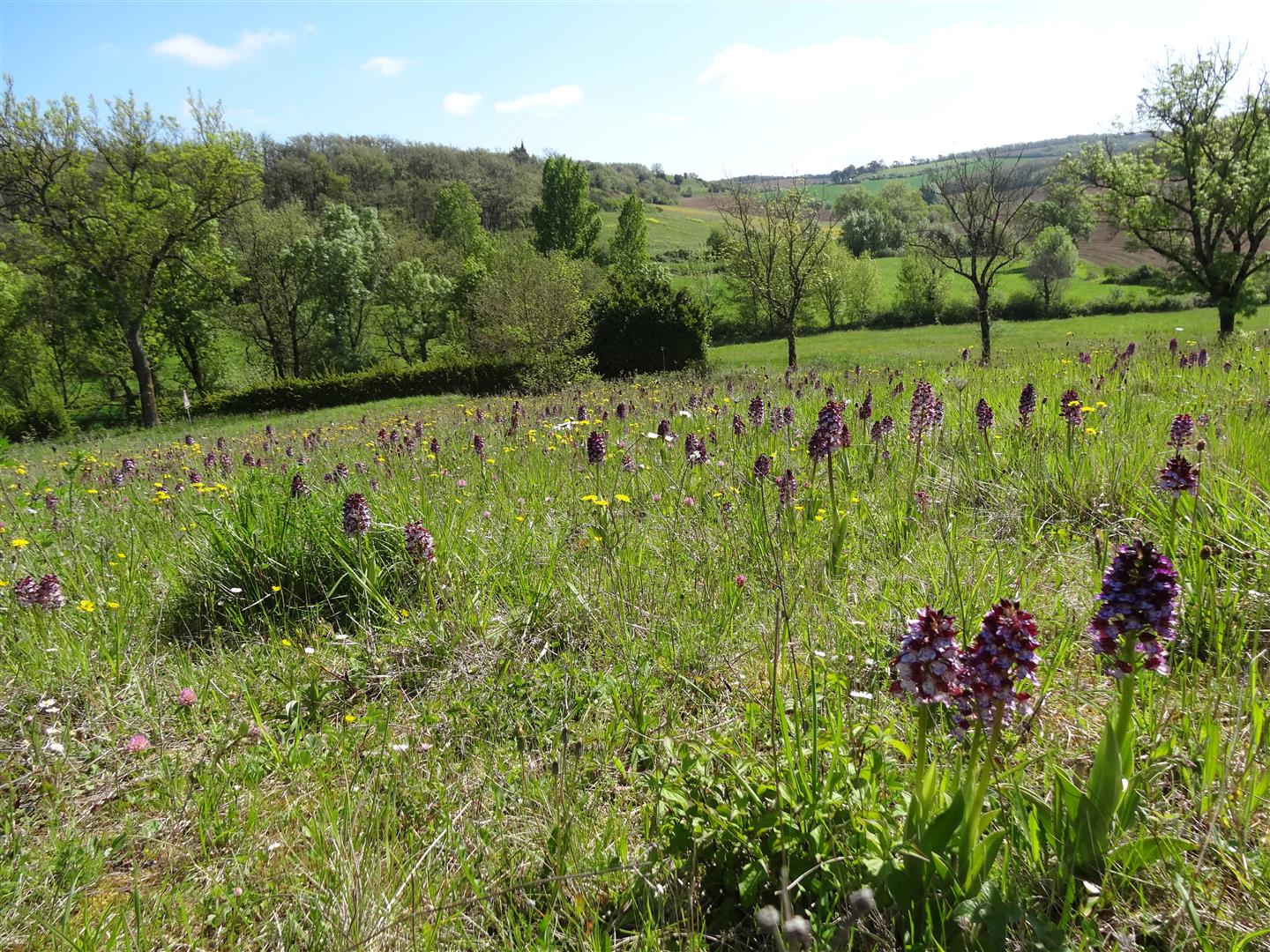 biodiversite du lauragais