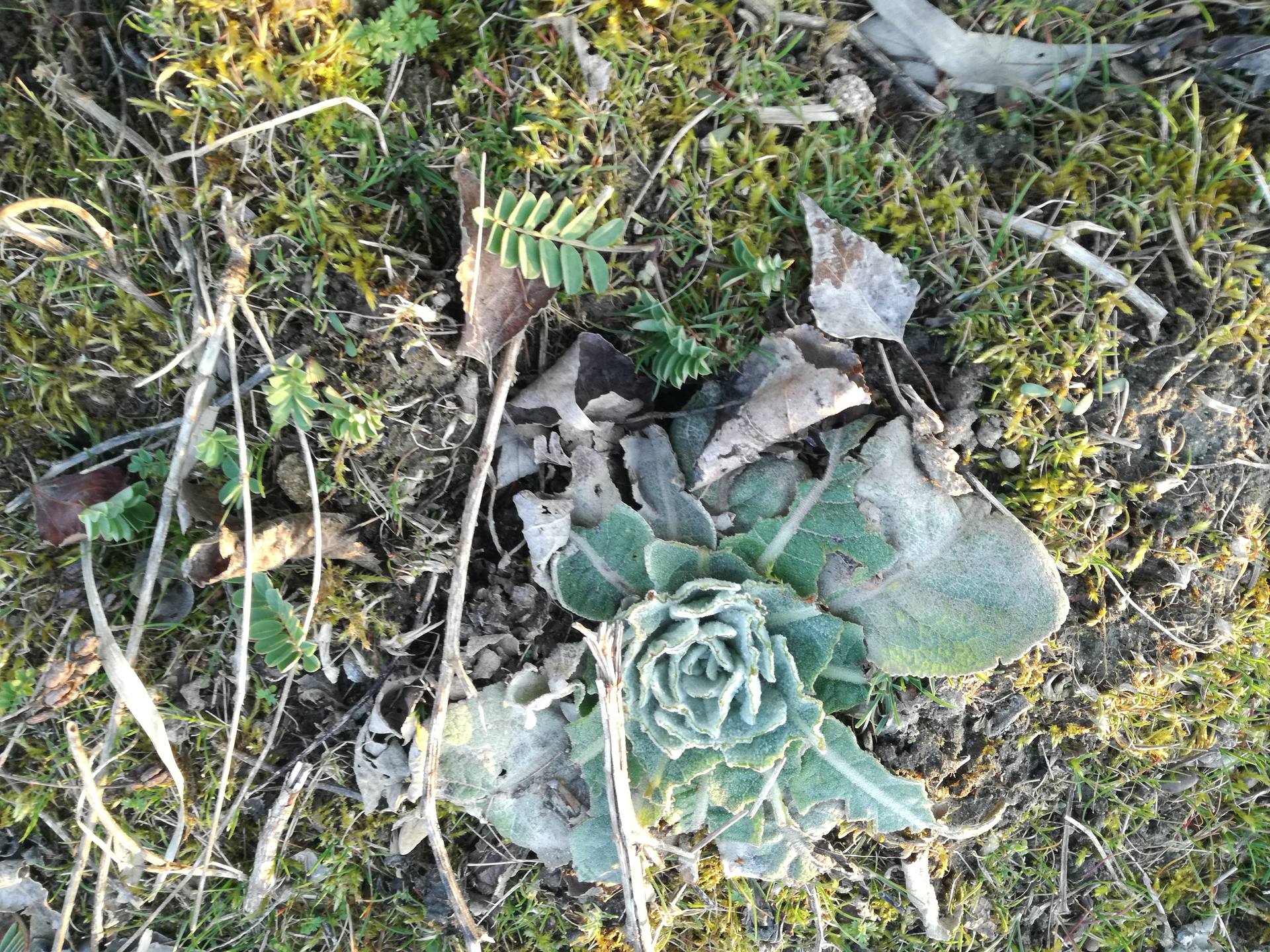 Détail parc miribel jonage