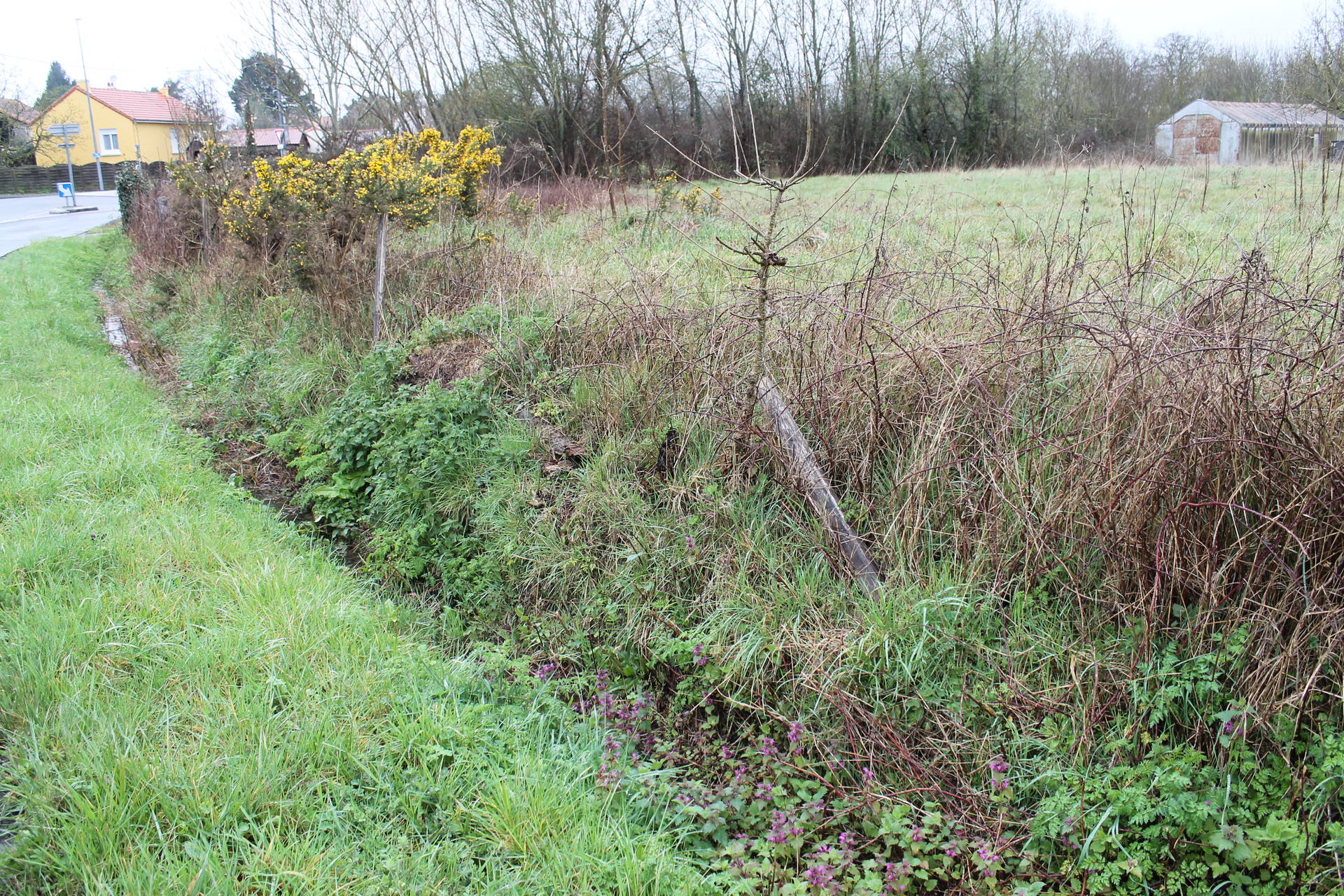 bord de route de campagne