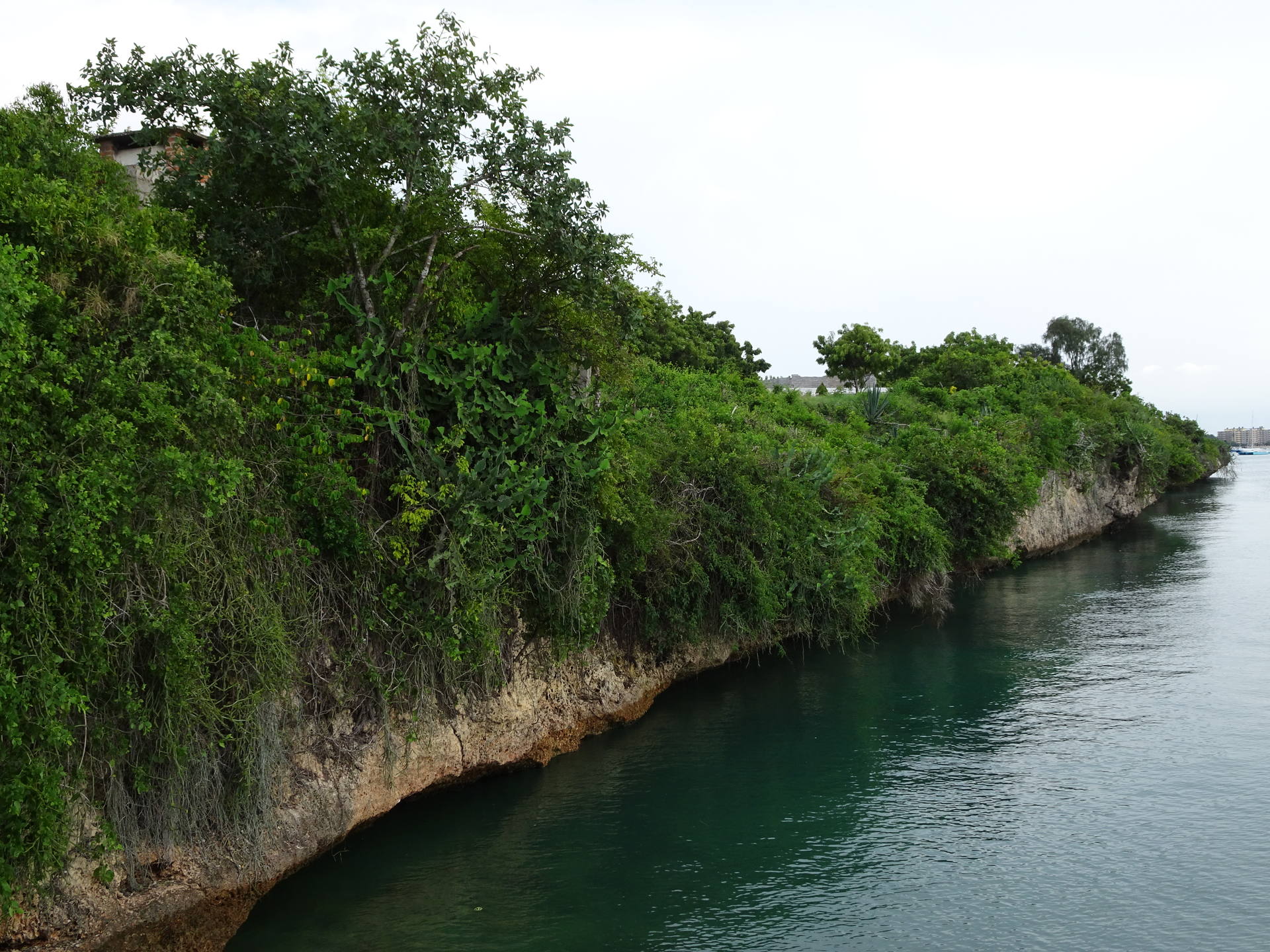 Biodiversite a Dar Es Salaam