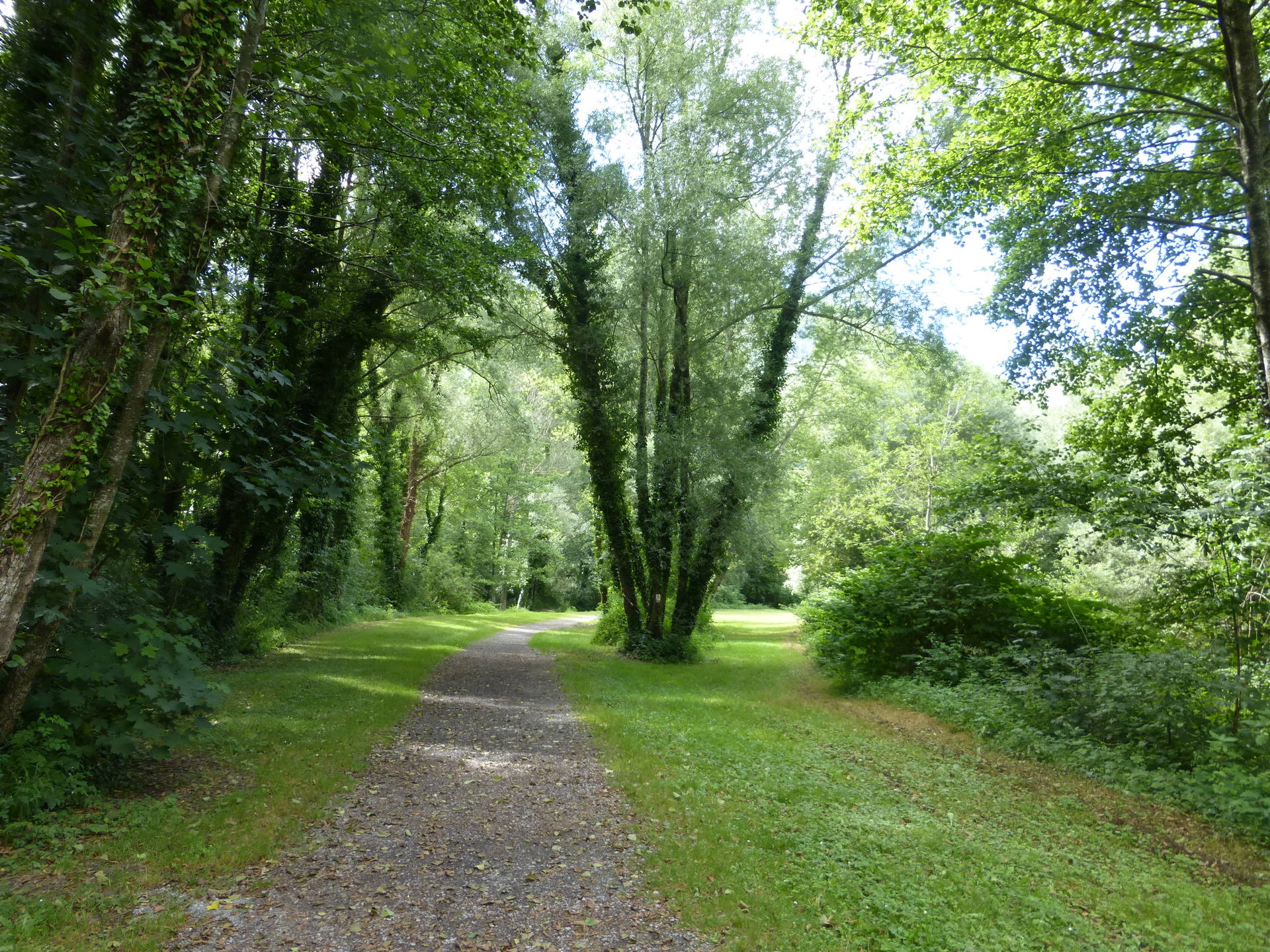 bord du gave d'Ossau
