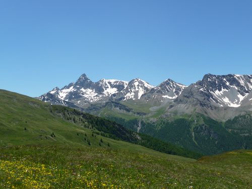une vallée en montagne. couverte de prairie et de mèlezes, un ciel bleur azur .
