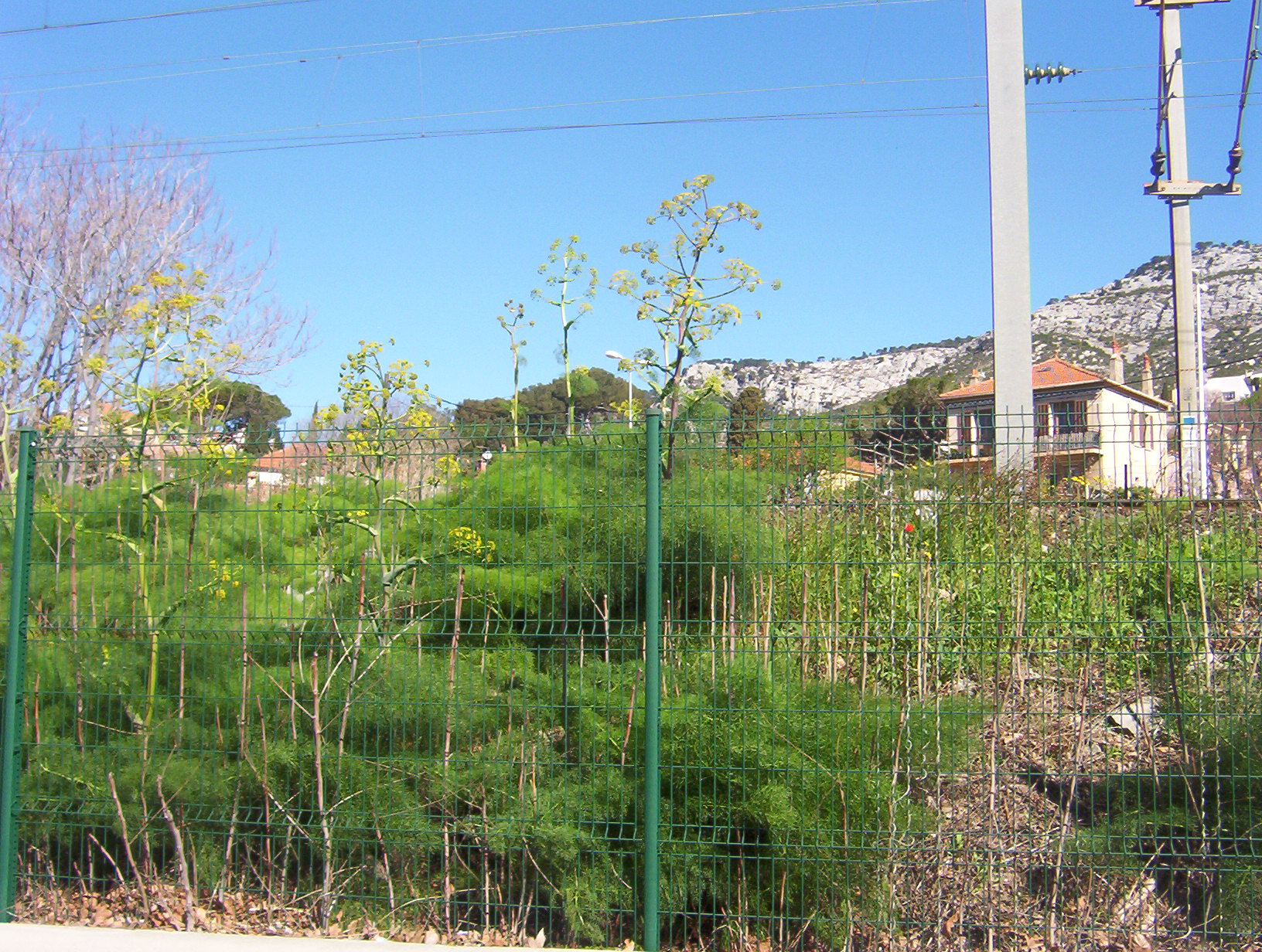 le long de la voie ferrée