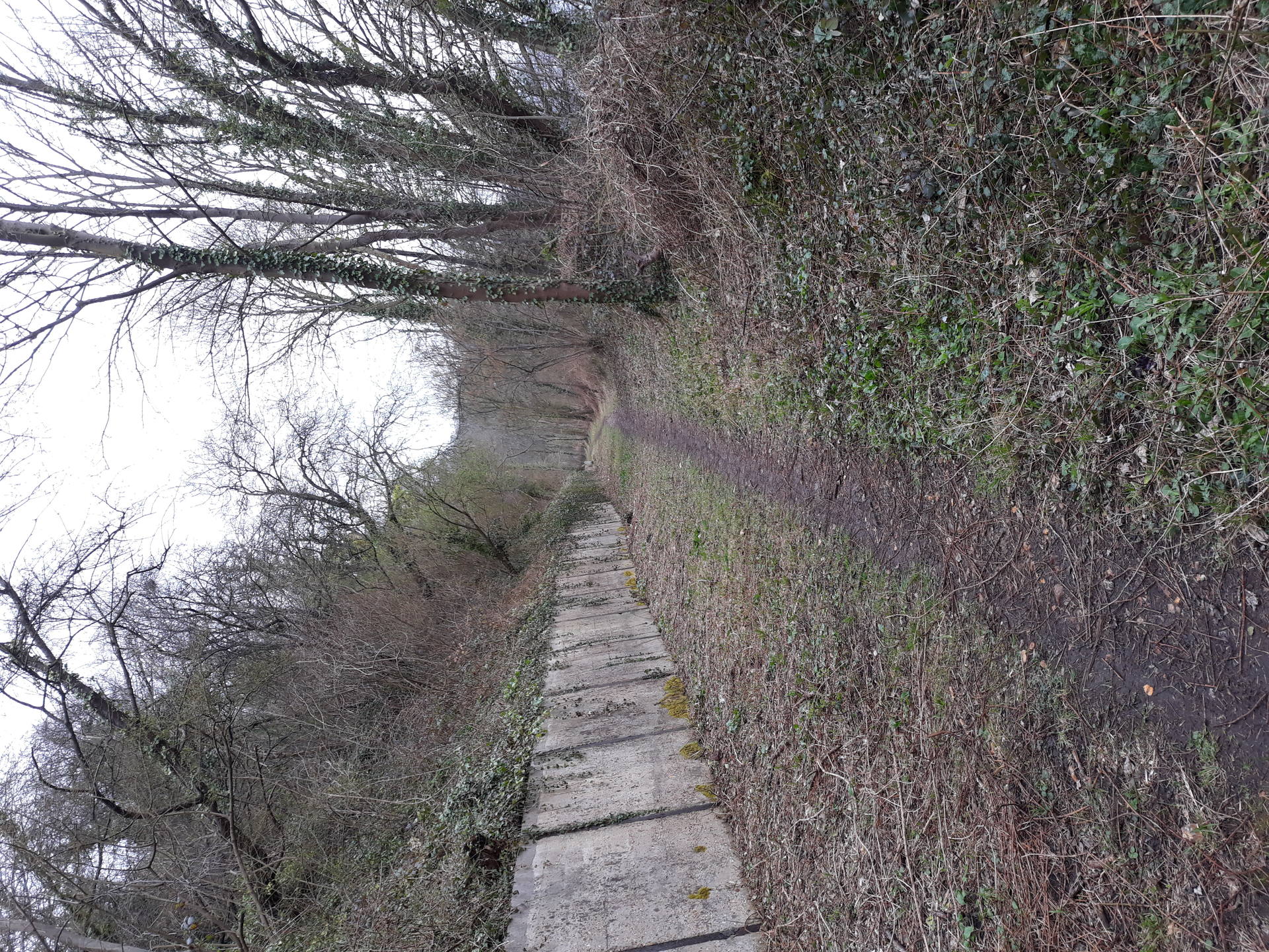 Chemin à flanc coteau Bonsecours 76