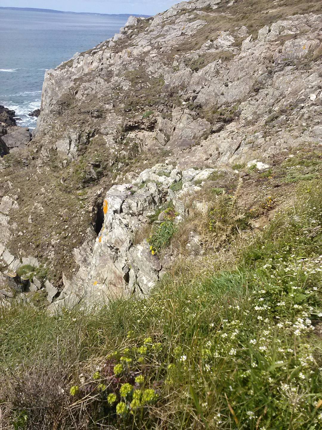 sur les falaises en baie de Douarnenez Finistère